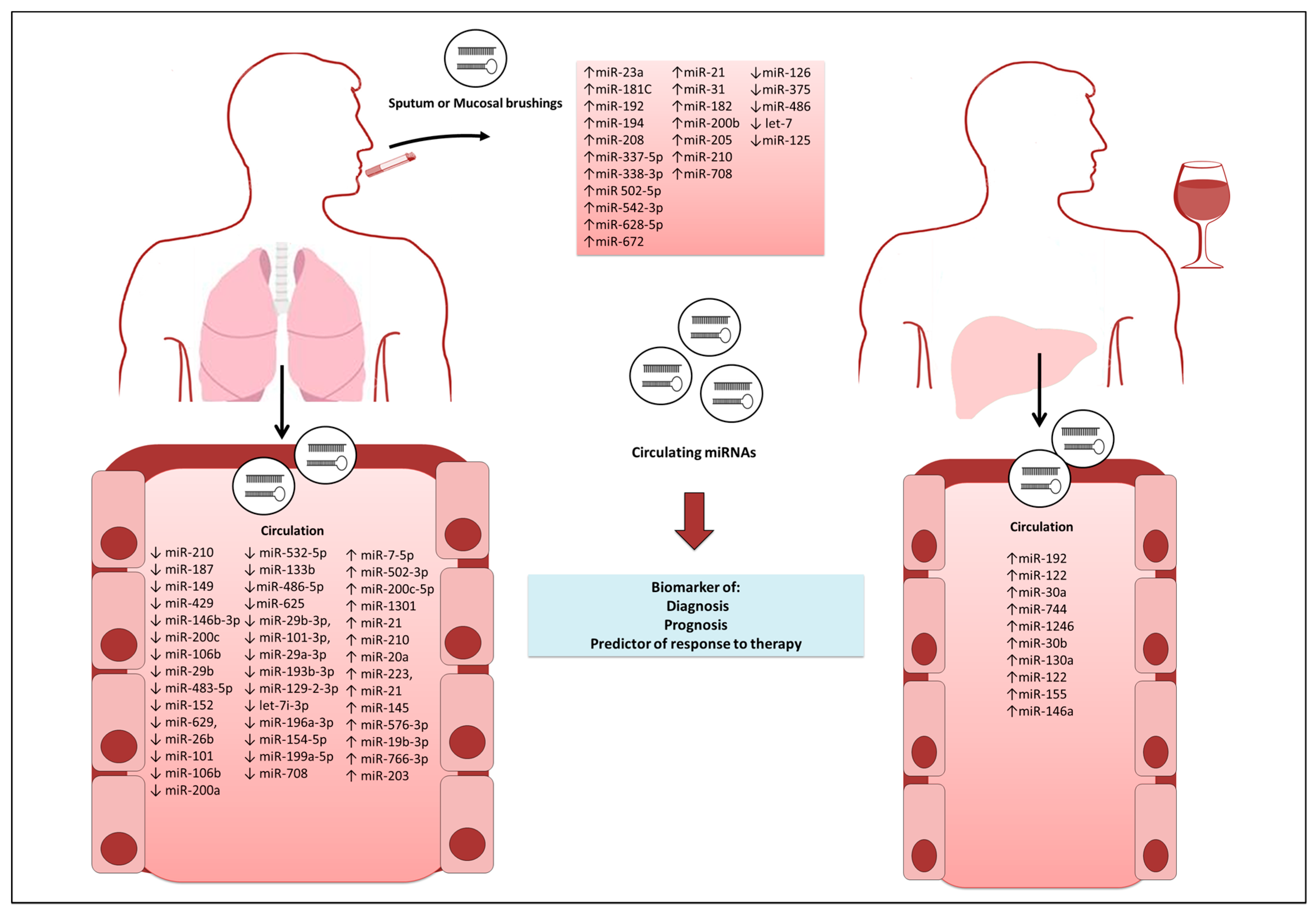 Genes 08 00006 g001