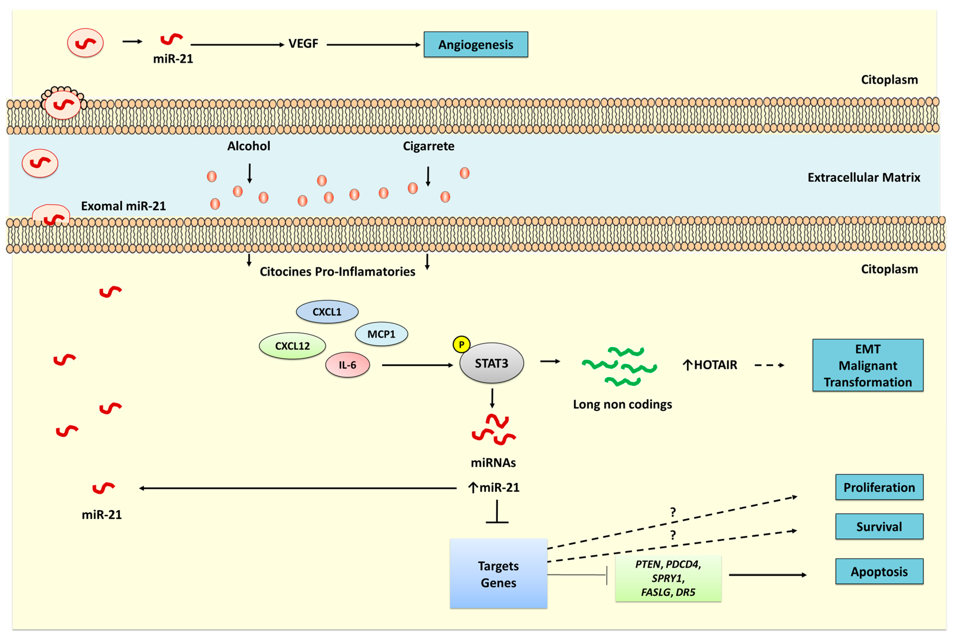 Genes 08 00006 g002