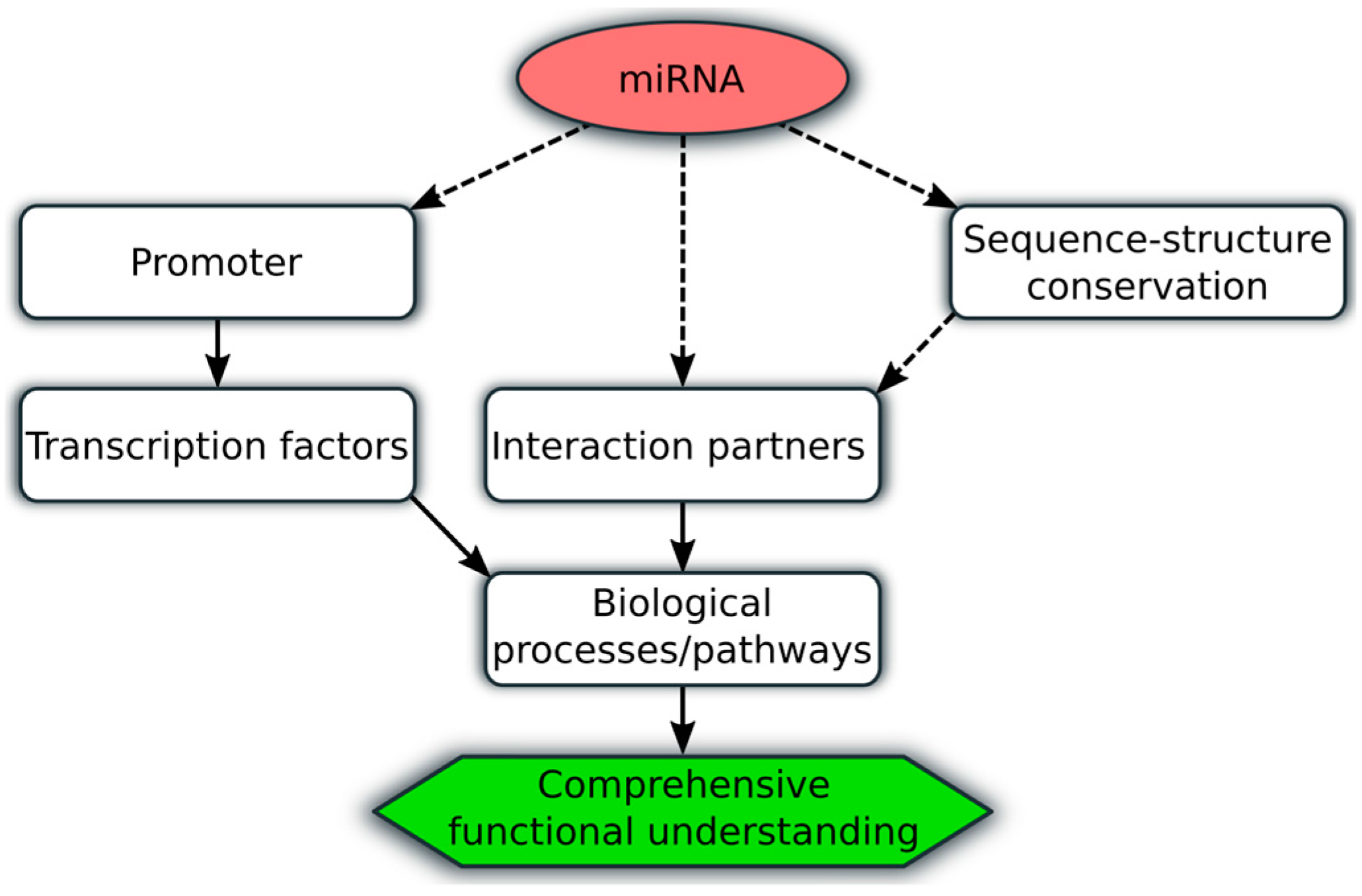 Genes 08 00008 g002