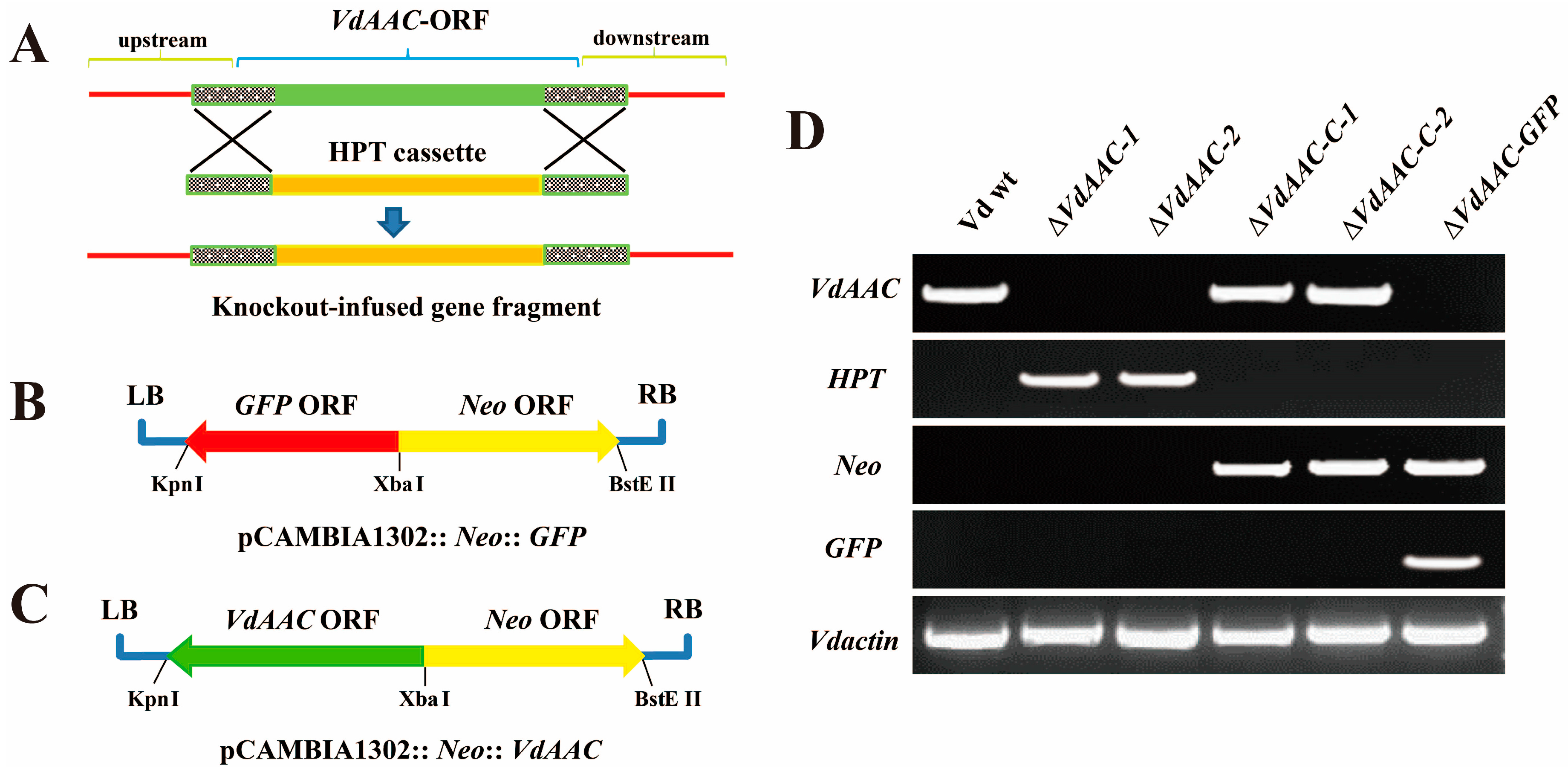 Genes 08 00025 g003