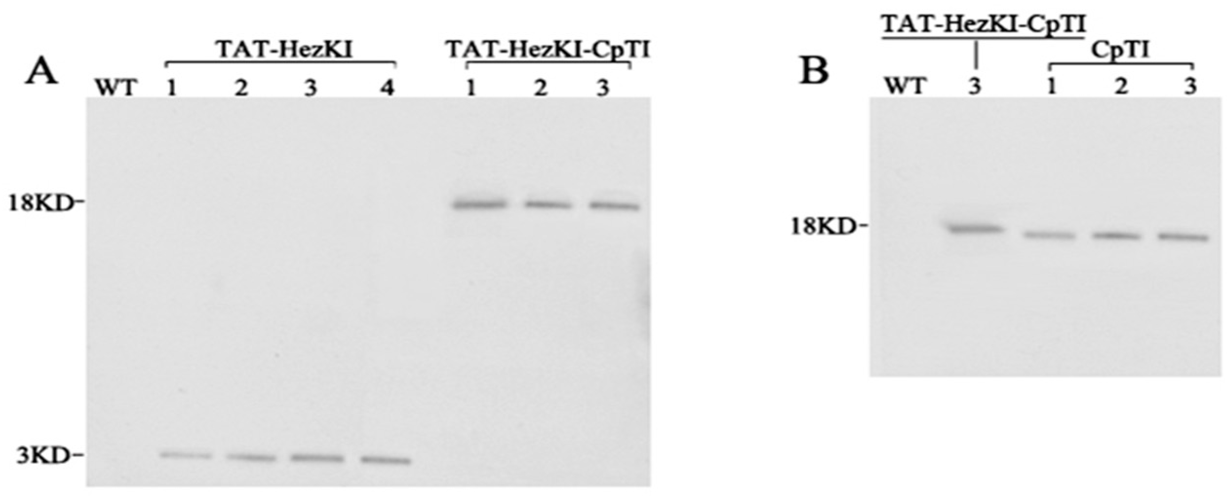 Genes 08 00028 g003 550