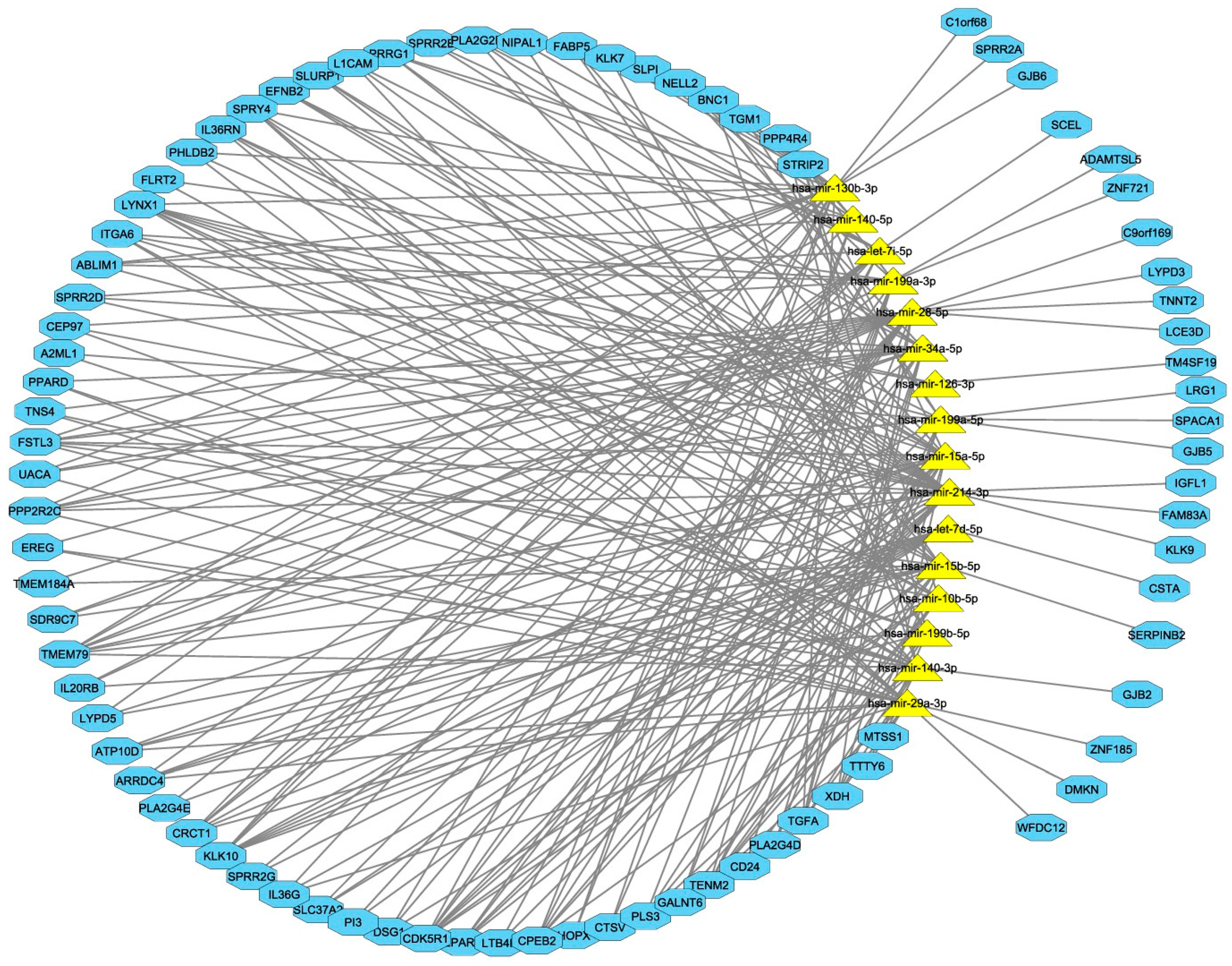 Genes 08 00035 g004