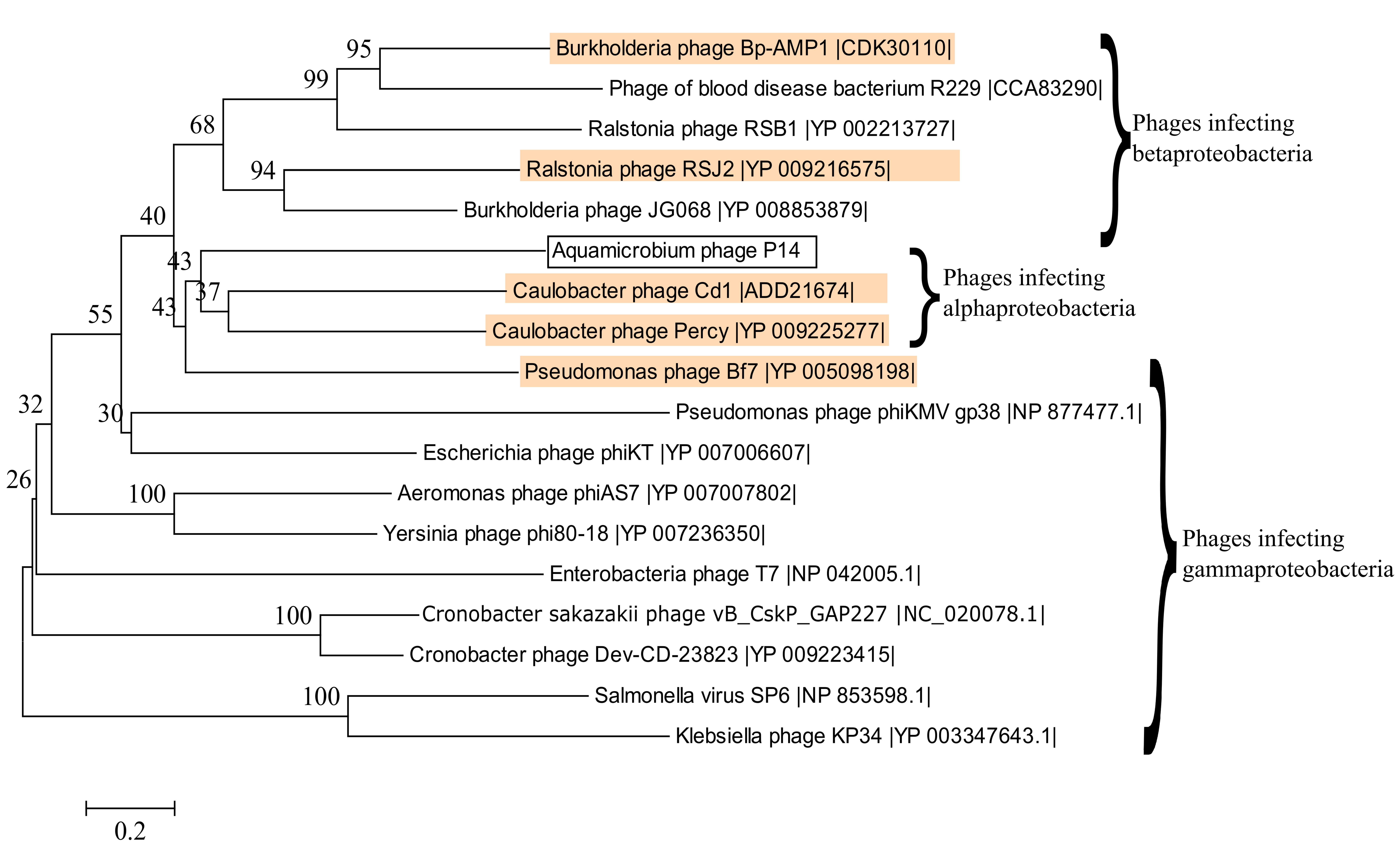 Genes 08 00040 g004