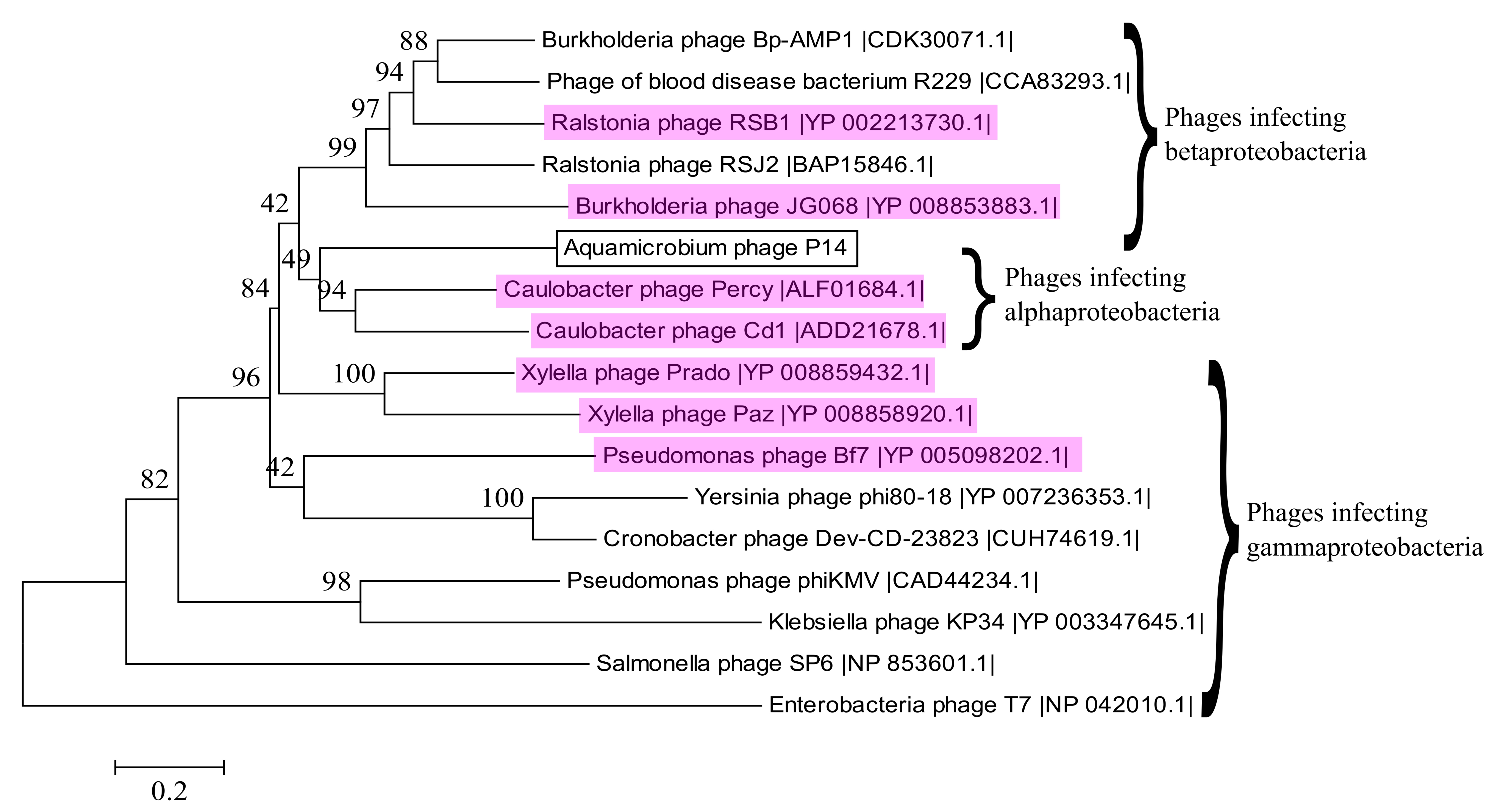 Genes 08 00040 g005