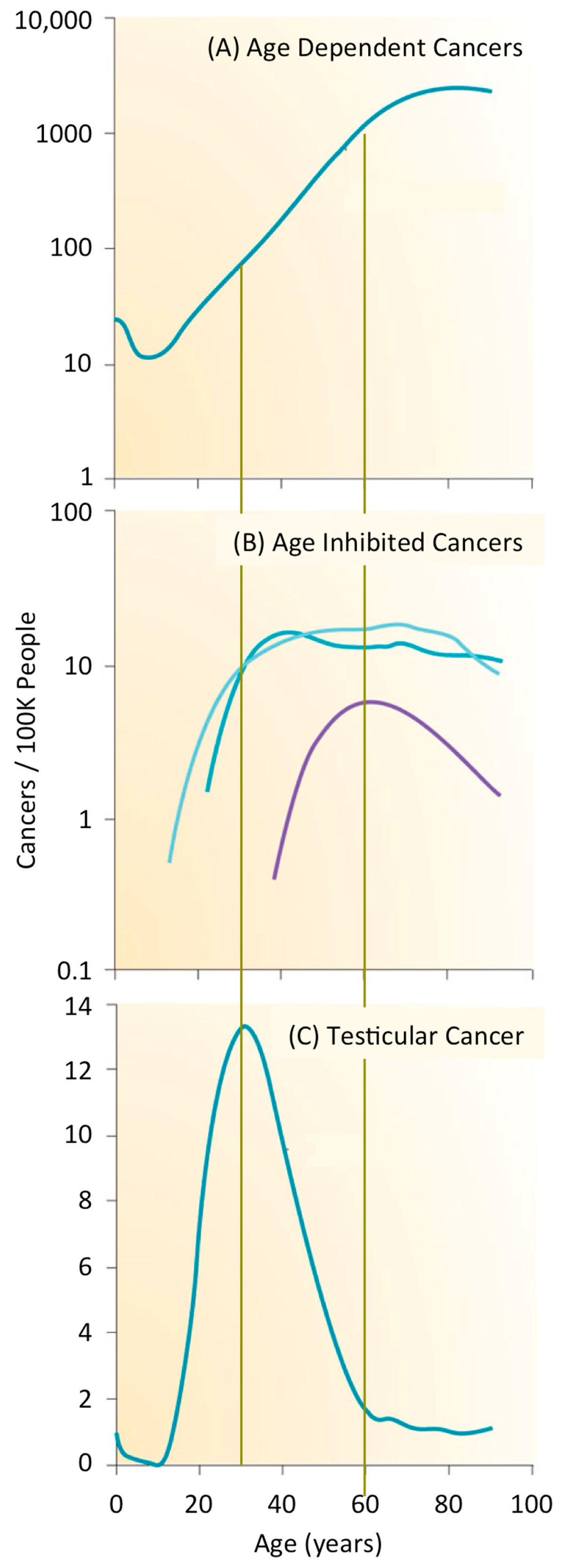 Genes 08 00045 g001