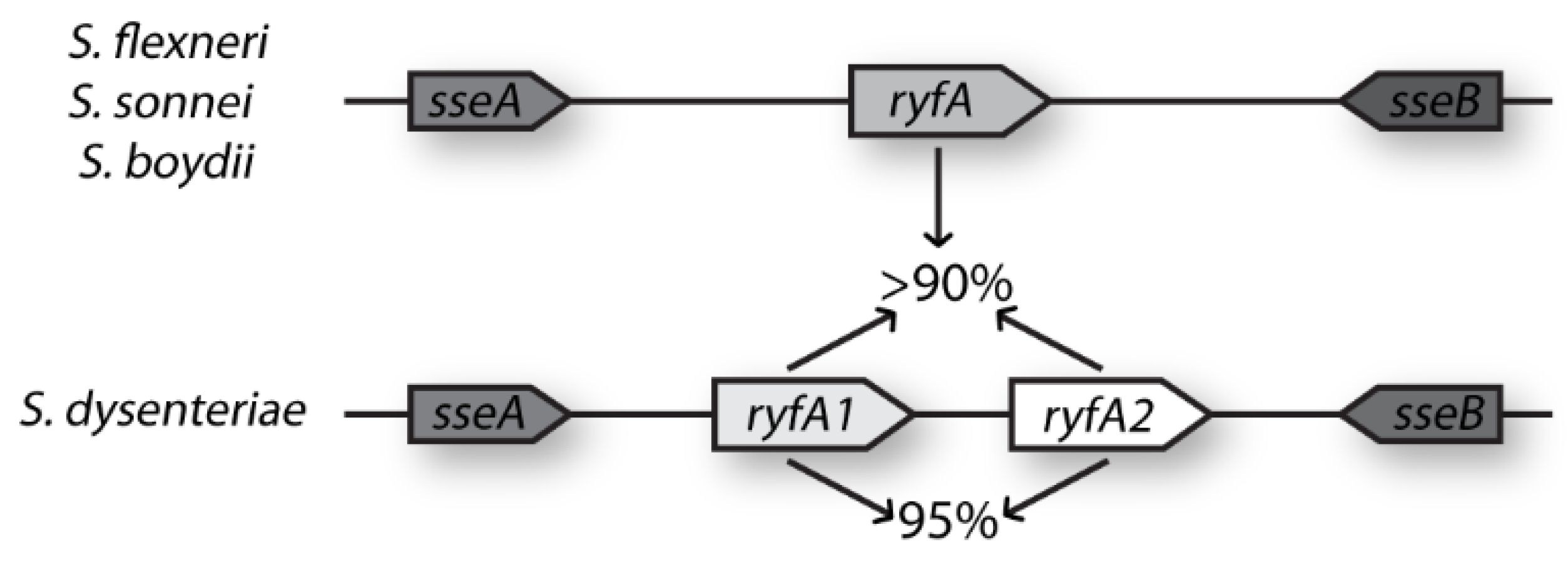 Genes 08 00050 g001