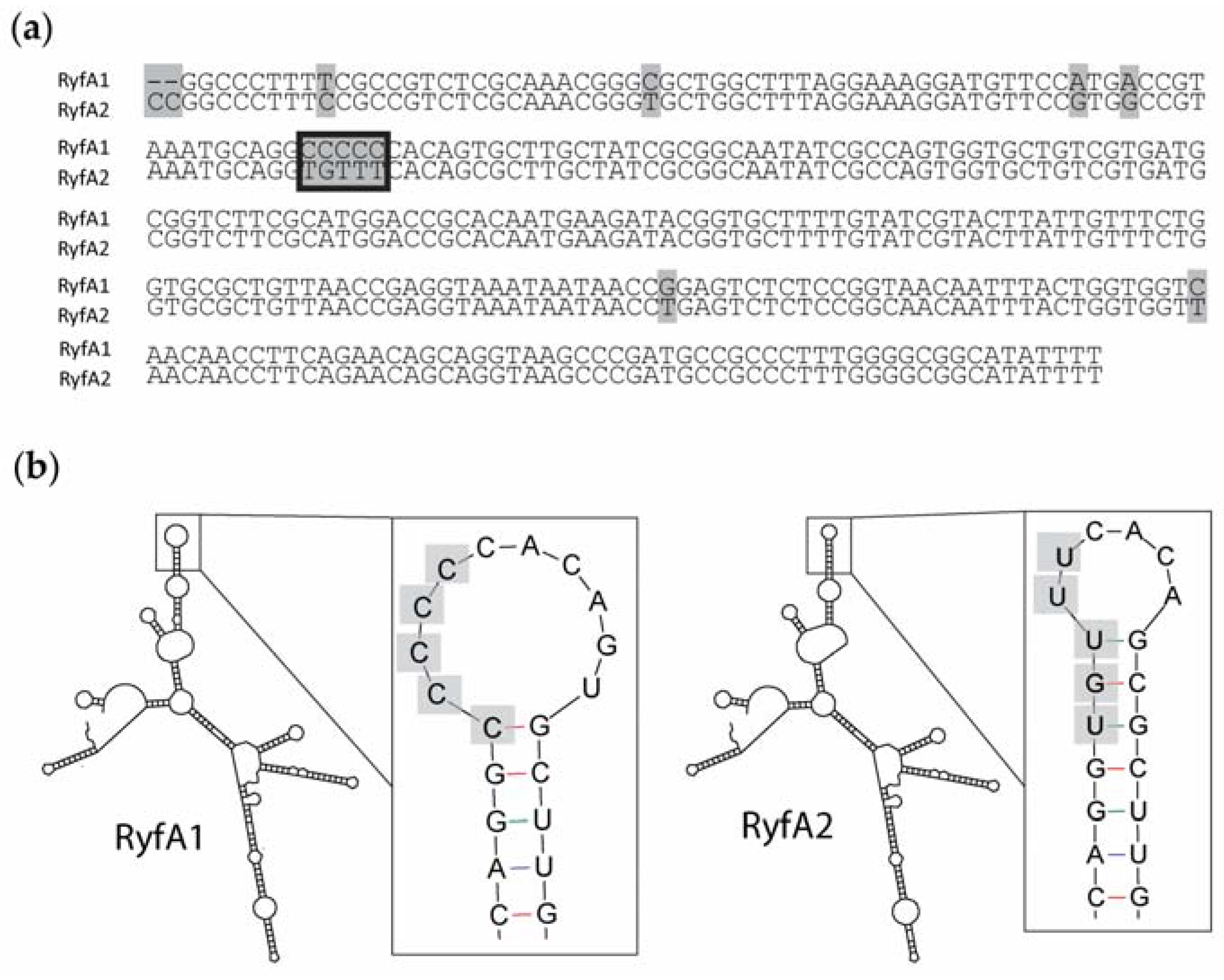 Genes 08 00050 g002
