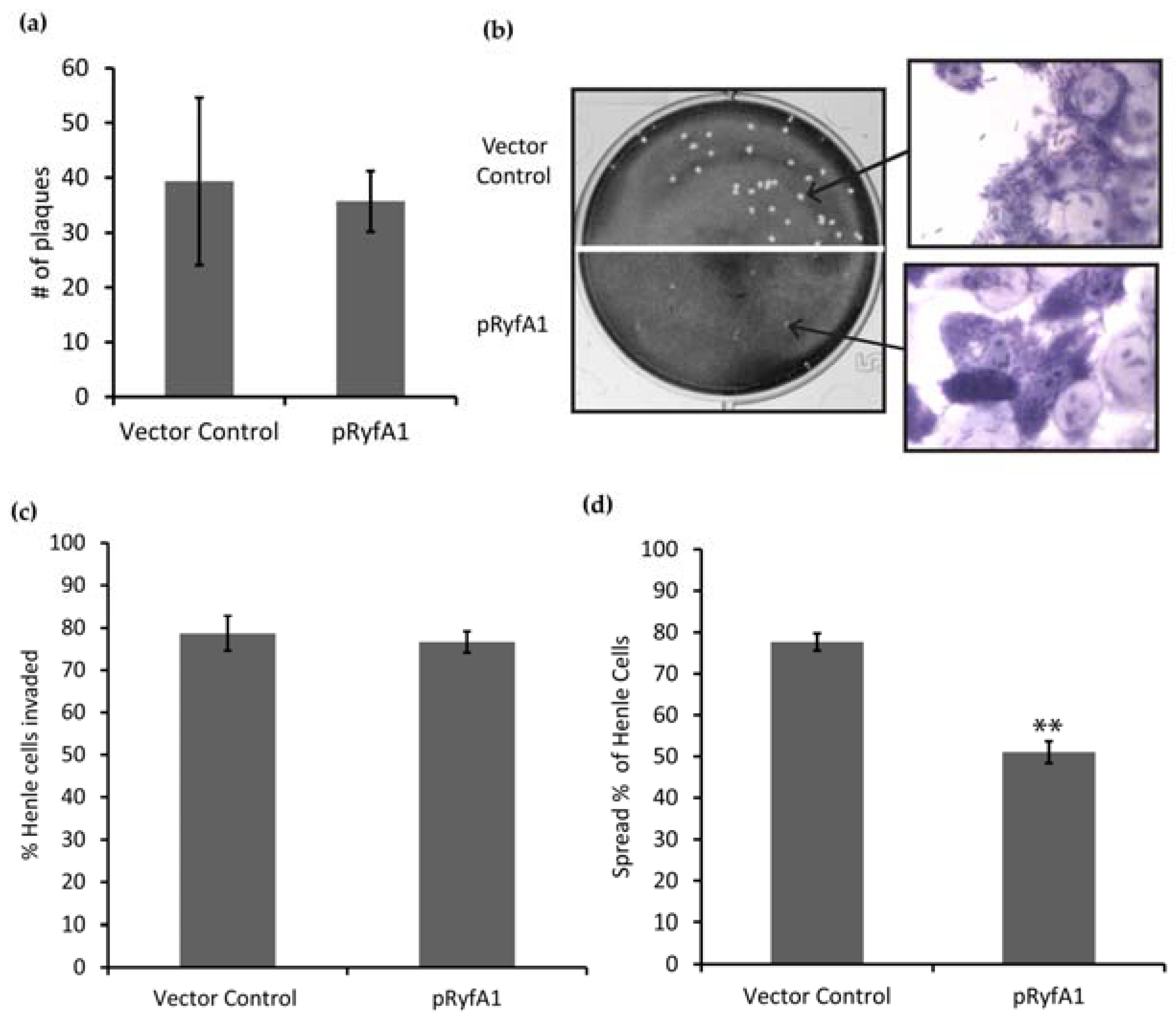 Genes 08 00050 g006