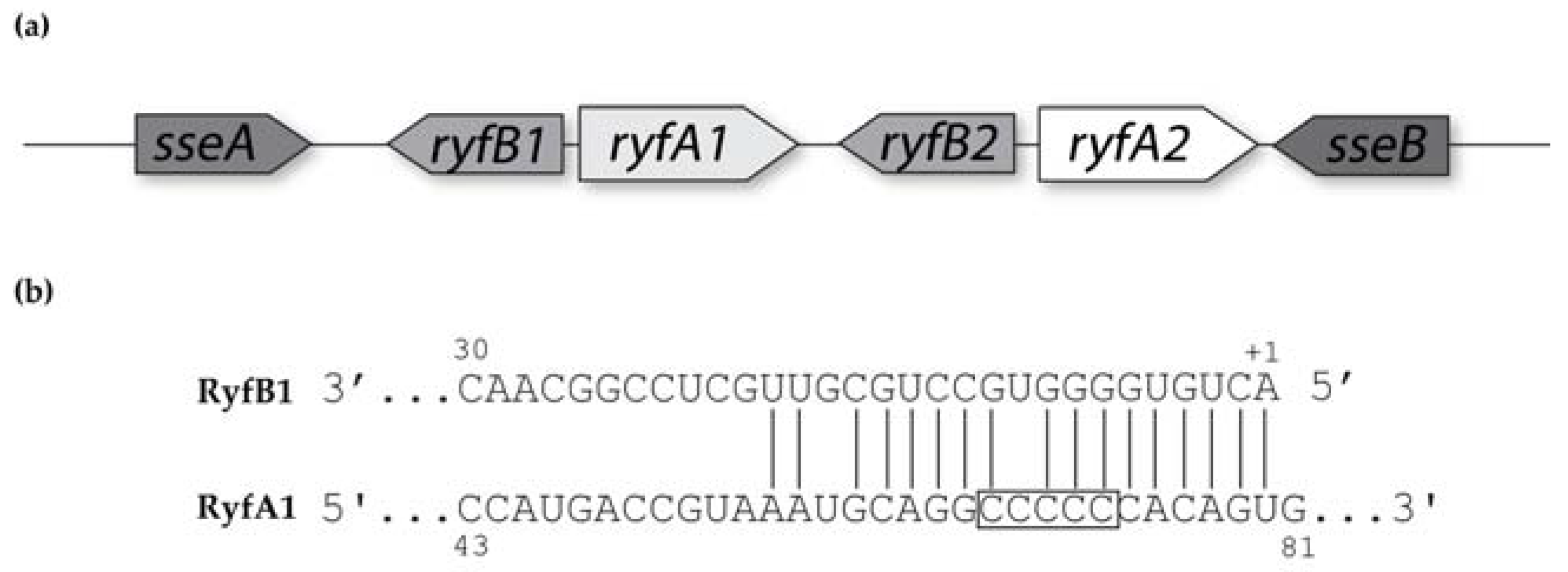 Genes 08 00050 g008a
