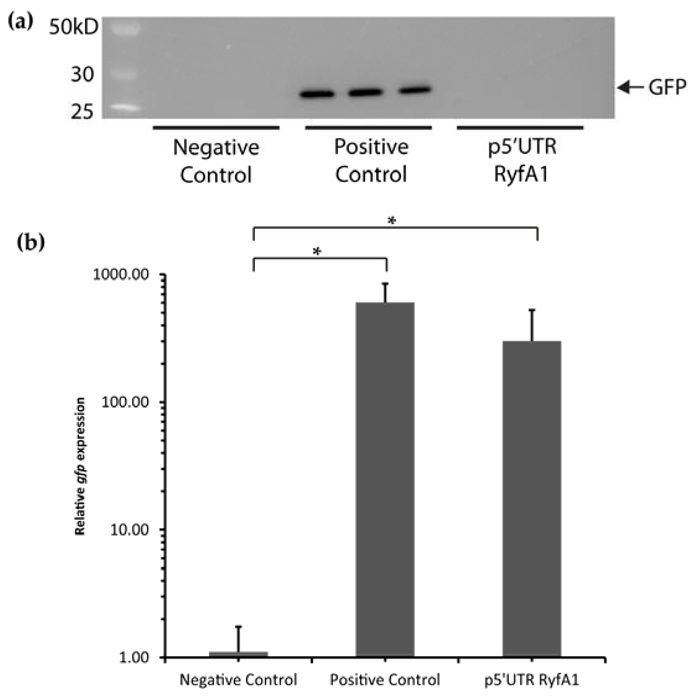 Genes 08 00050 g009
