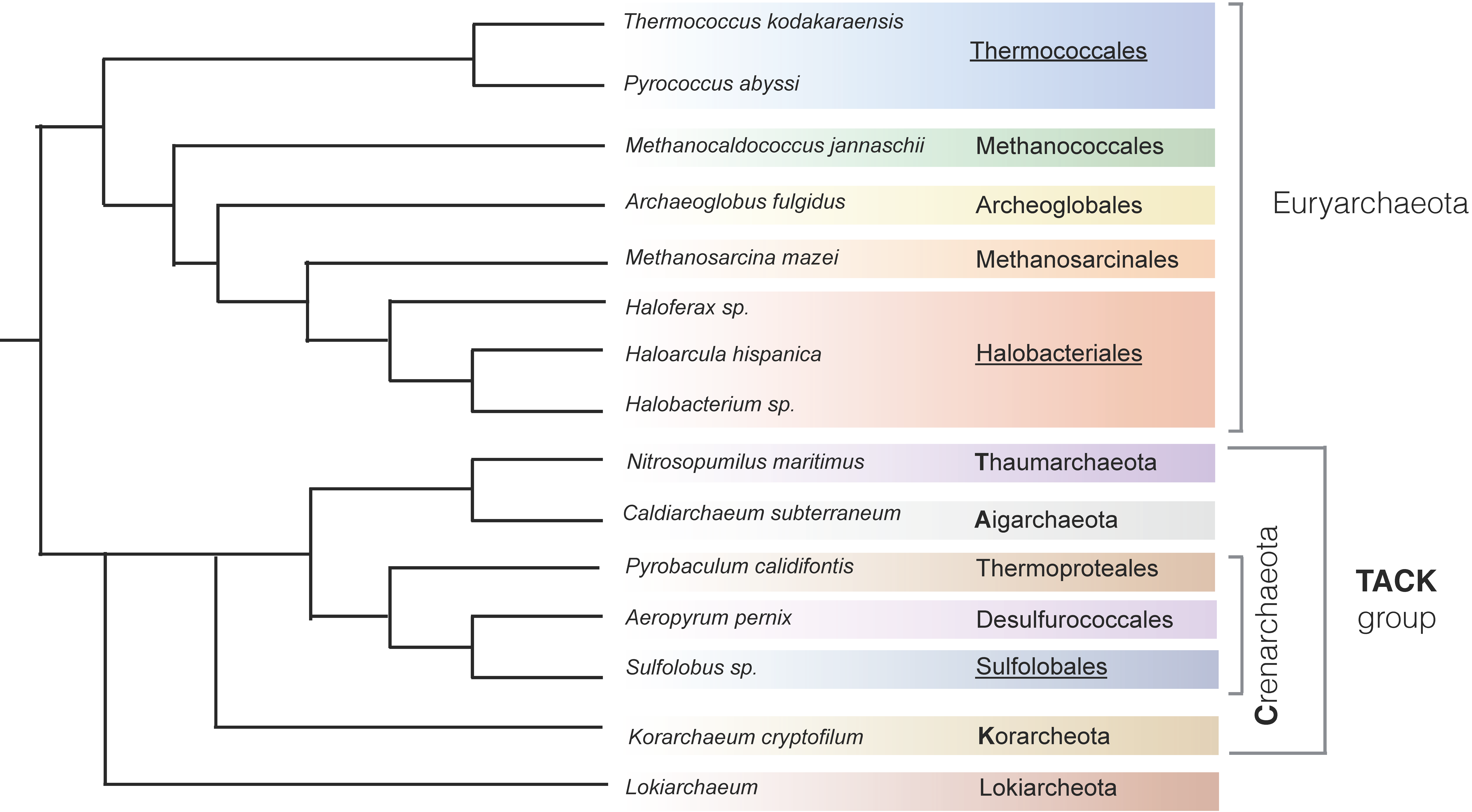 Genes 08 00056 g001