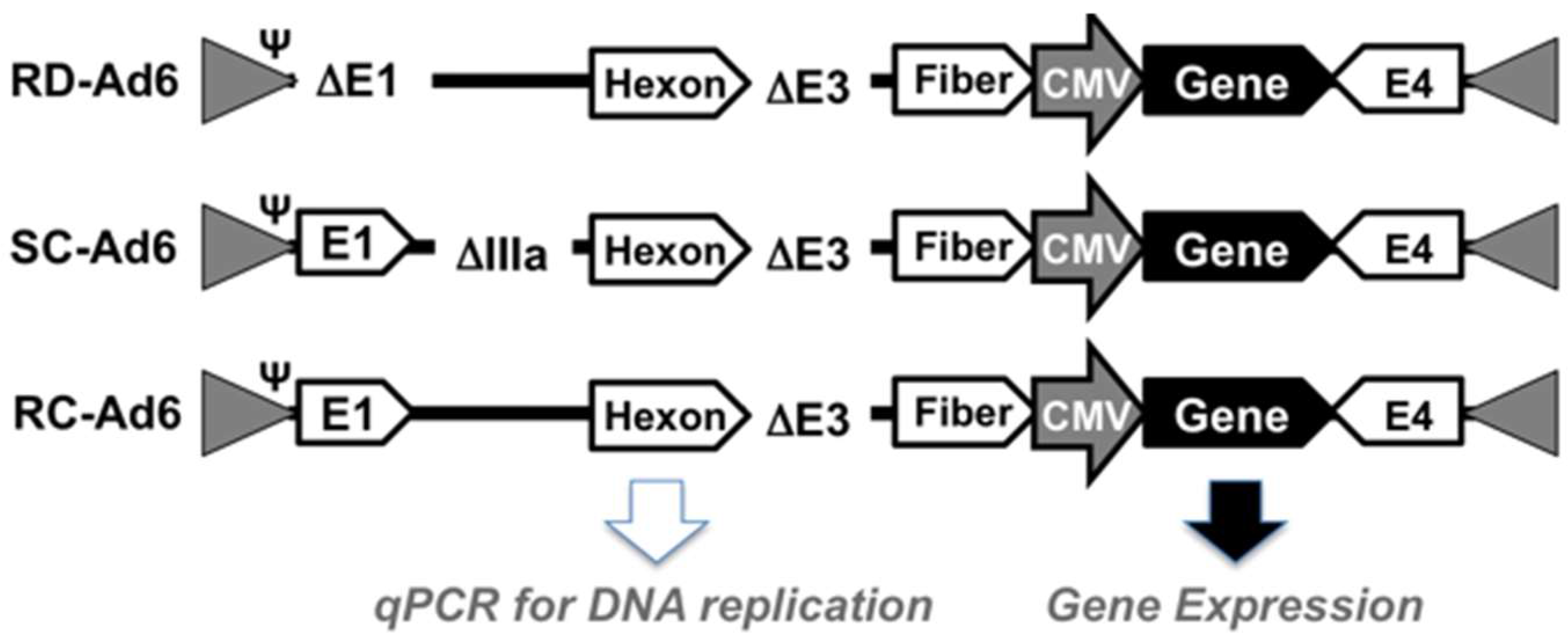 Genes 08 00079 g001