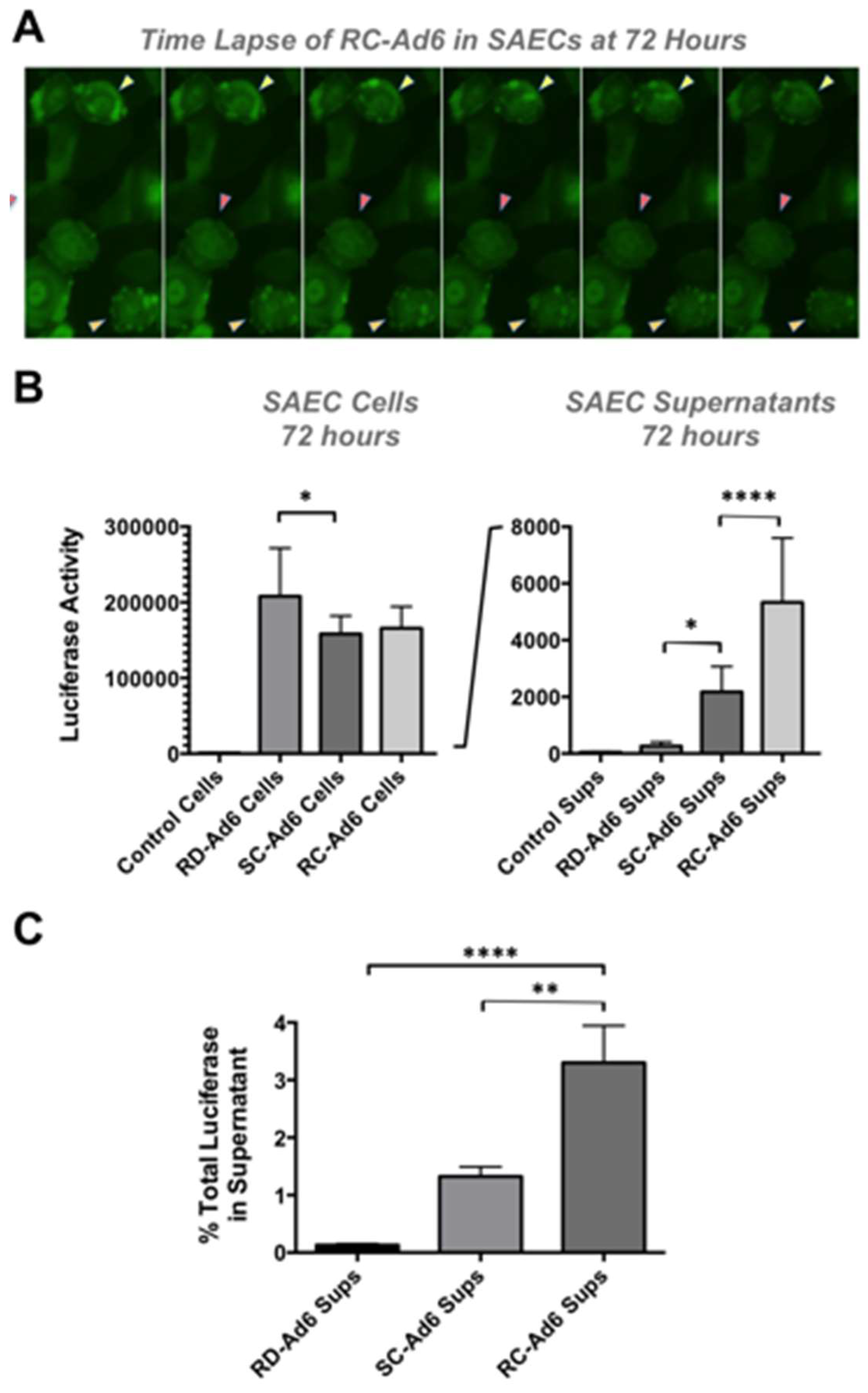 Genes 08 00079 g004