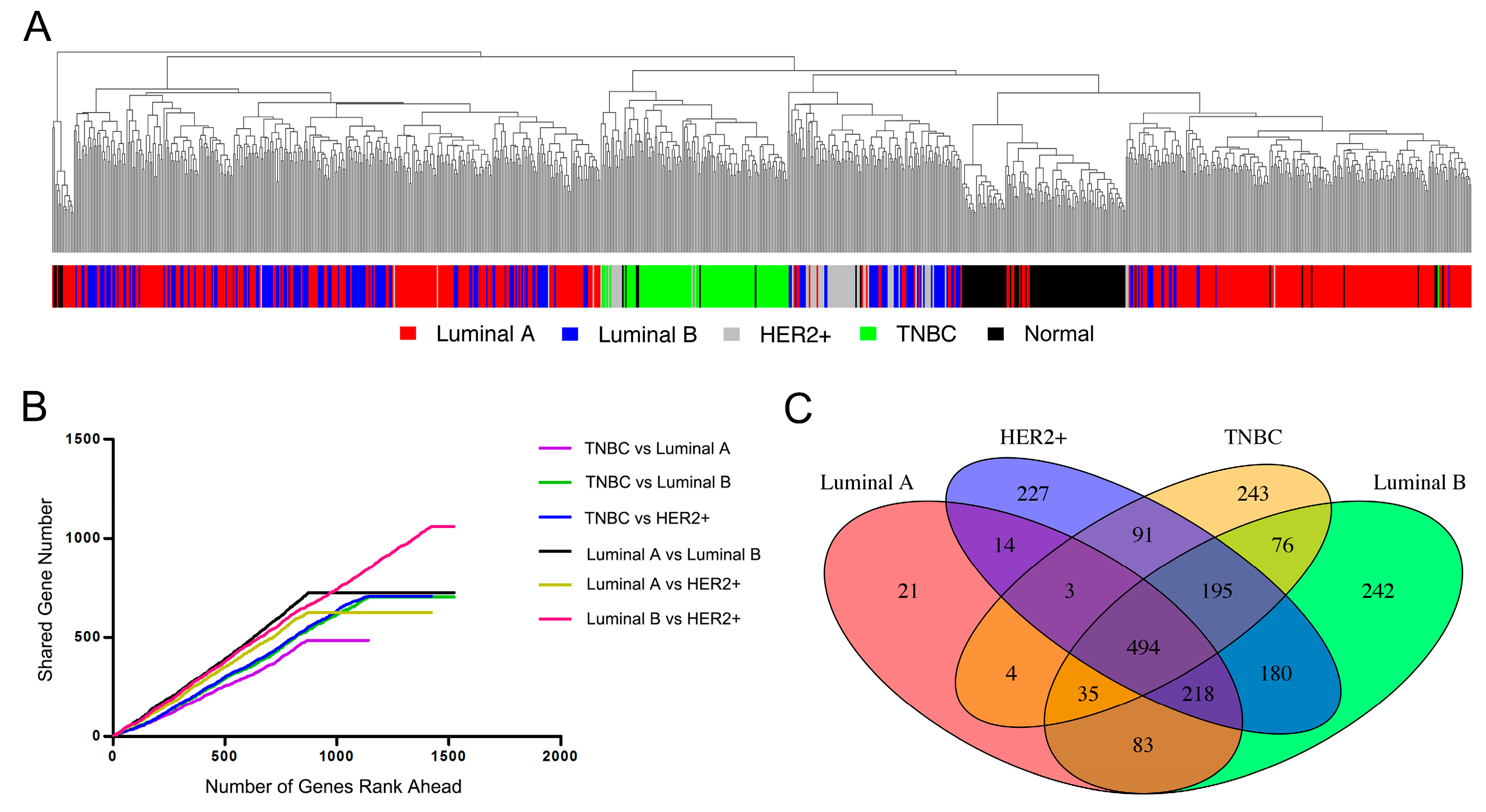 Genes 08 00086 g002