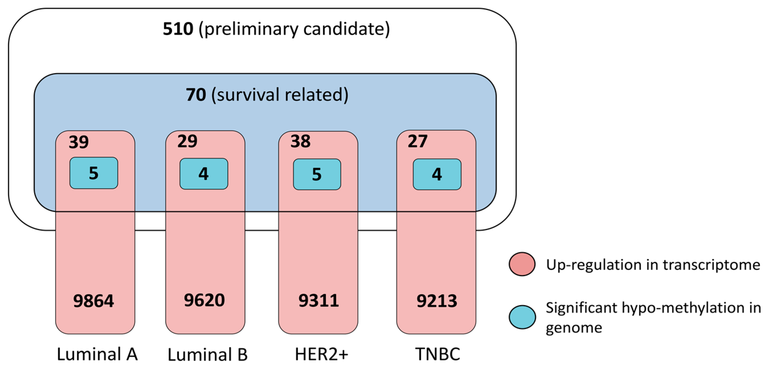 Genes 08 00086 g004