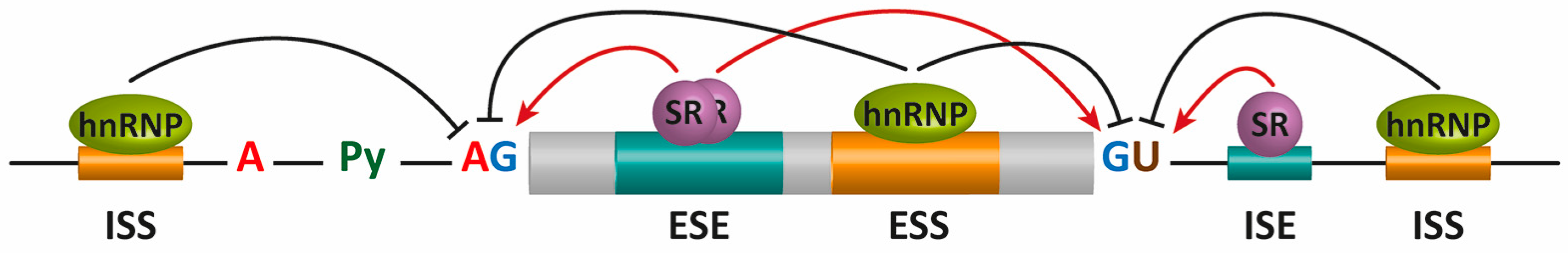 Genes 08 00087 g002