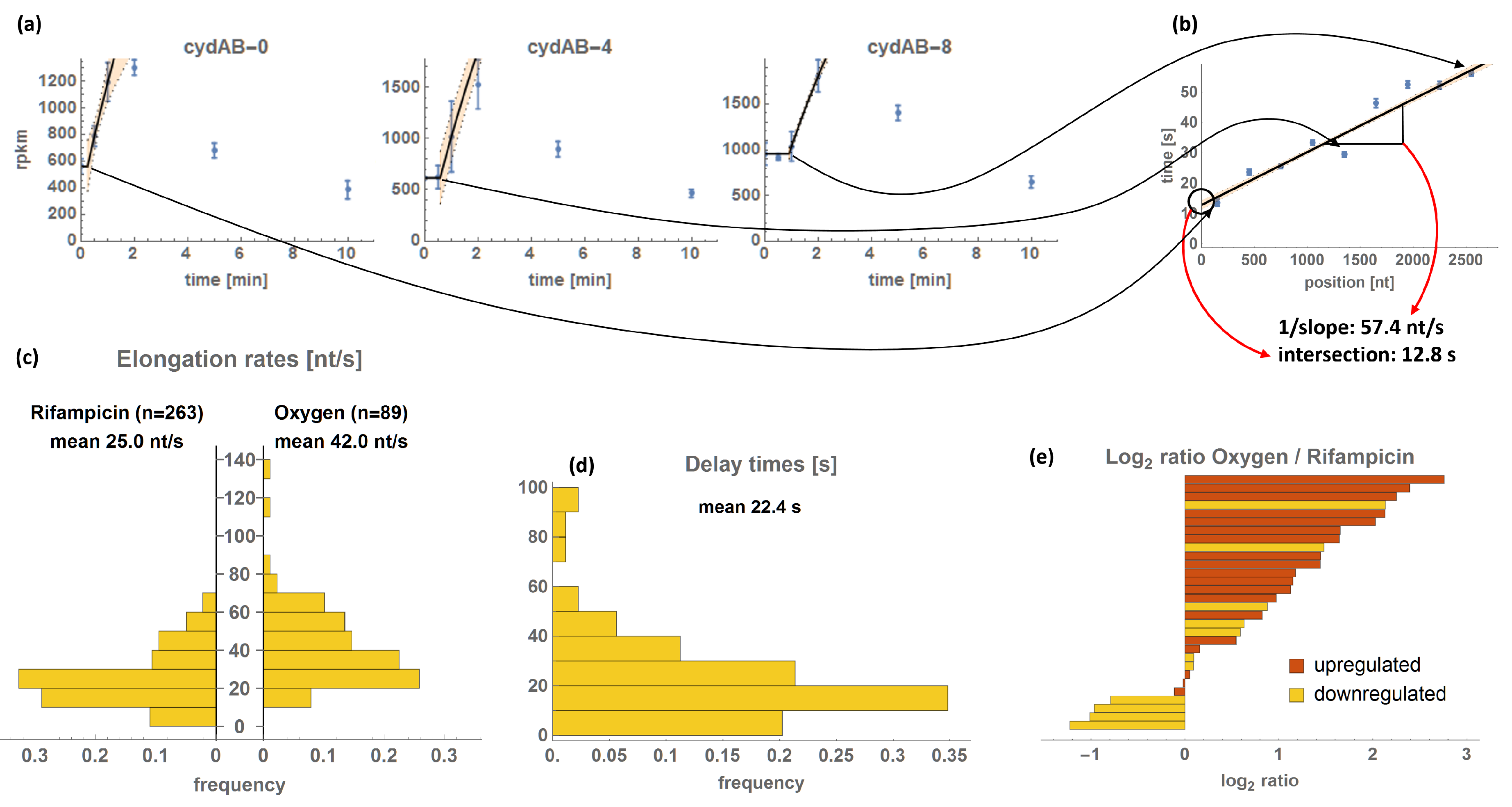 Genes 08 00090 g005