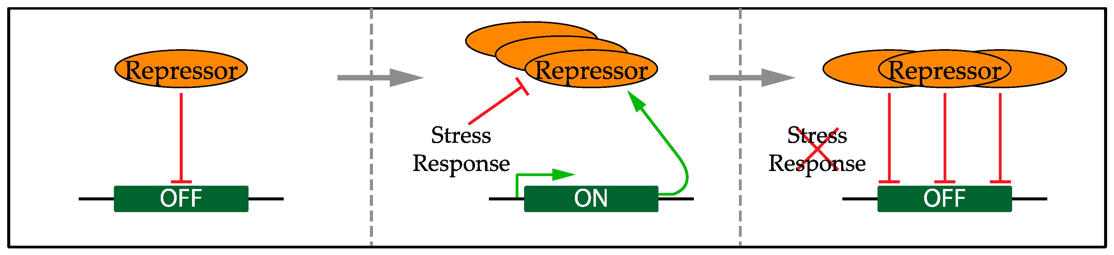 Genes 08 00092 g003