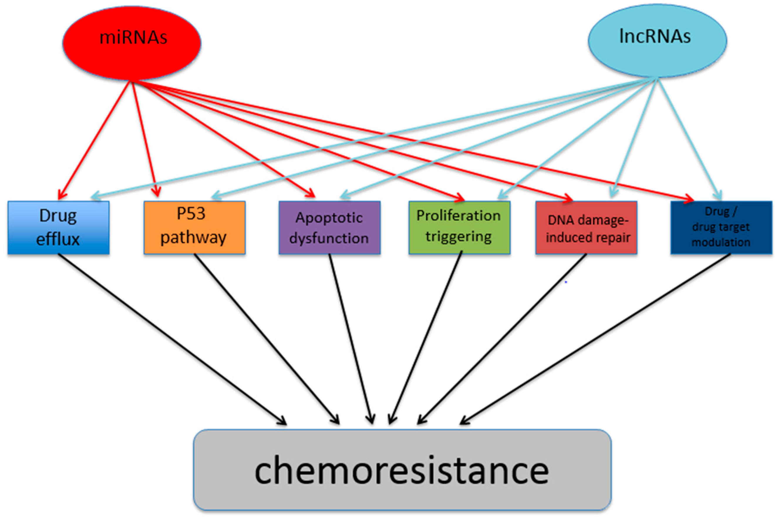 Genes 08 00095 g001