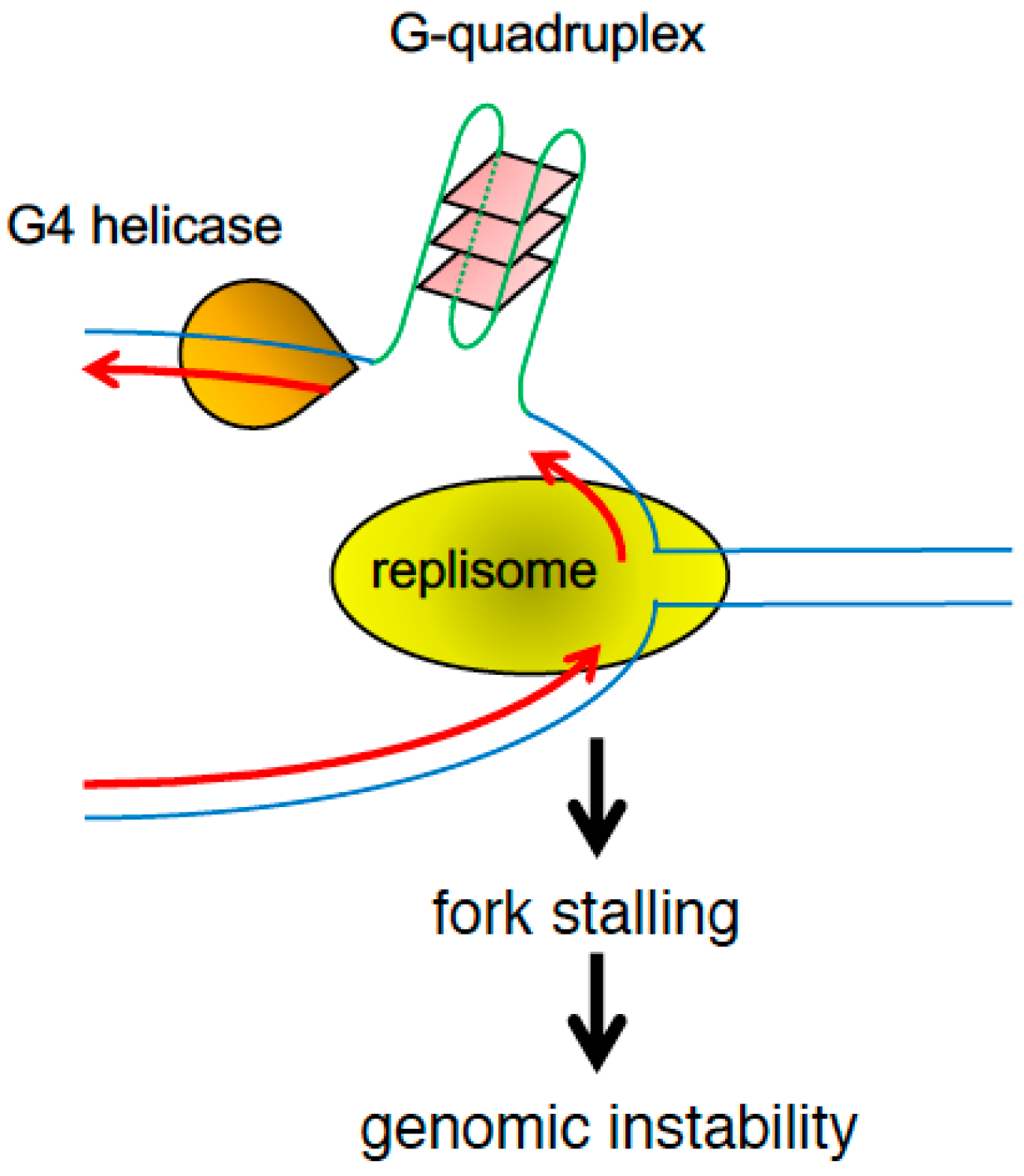 Genes 08 00098 g006