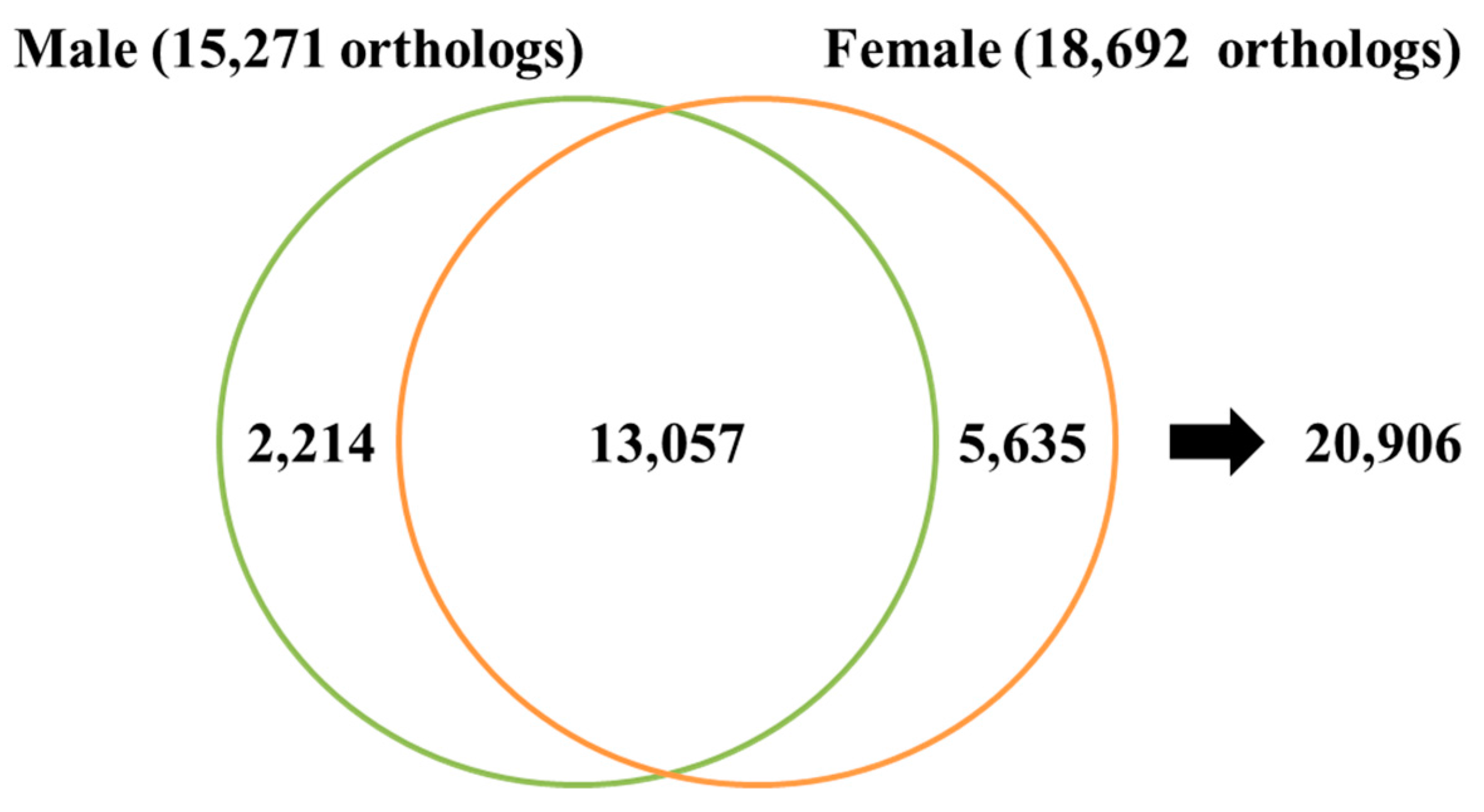 Alternative Splicing Profile and Sex-Preferential Gene