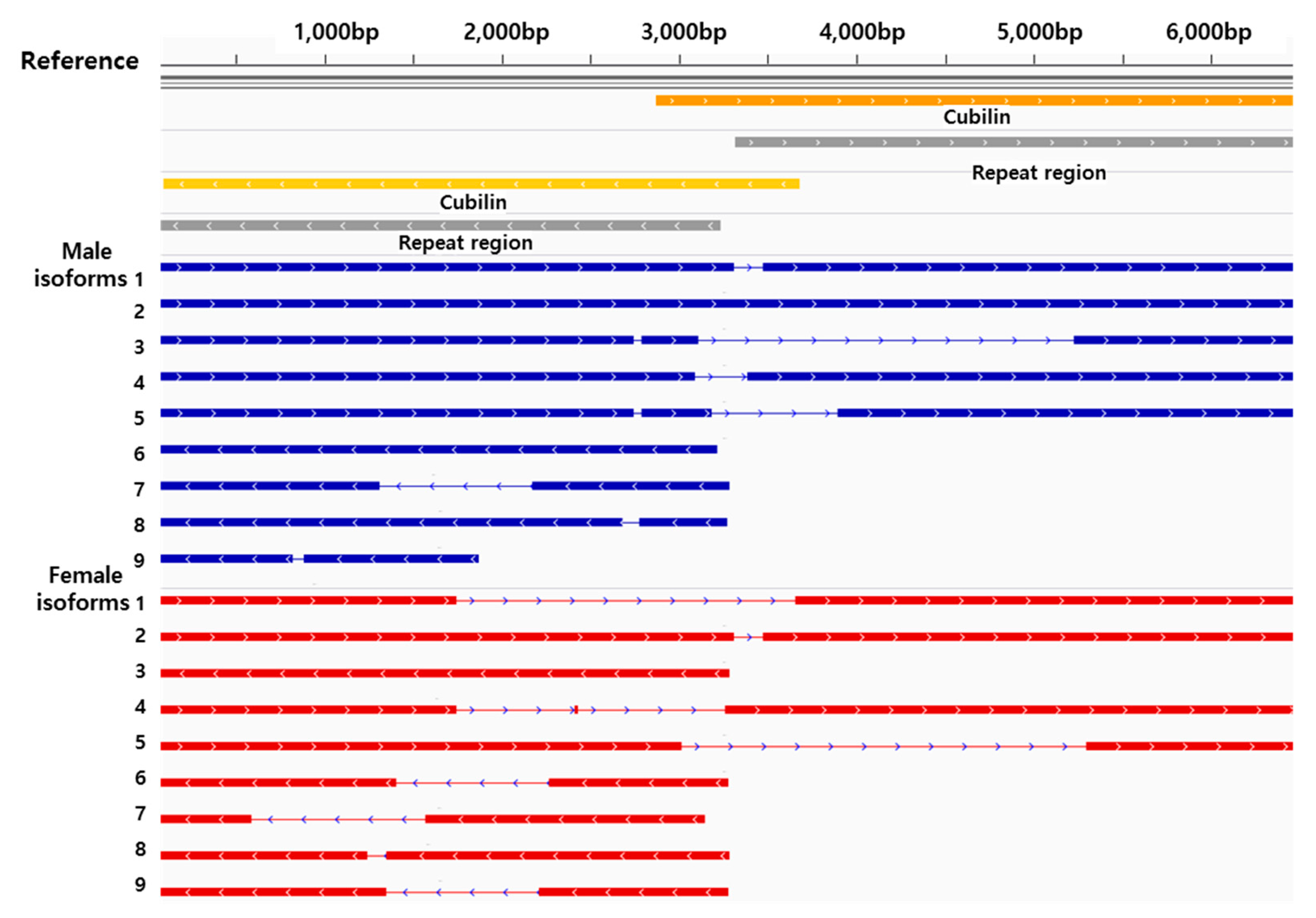 Genes 08 00099 g005