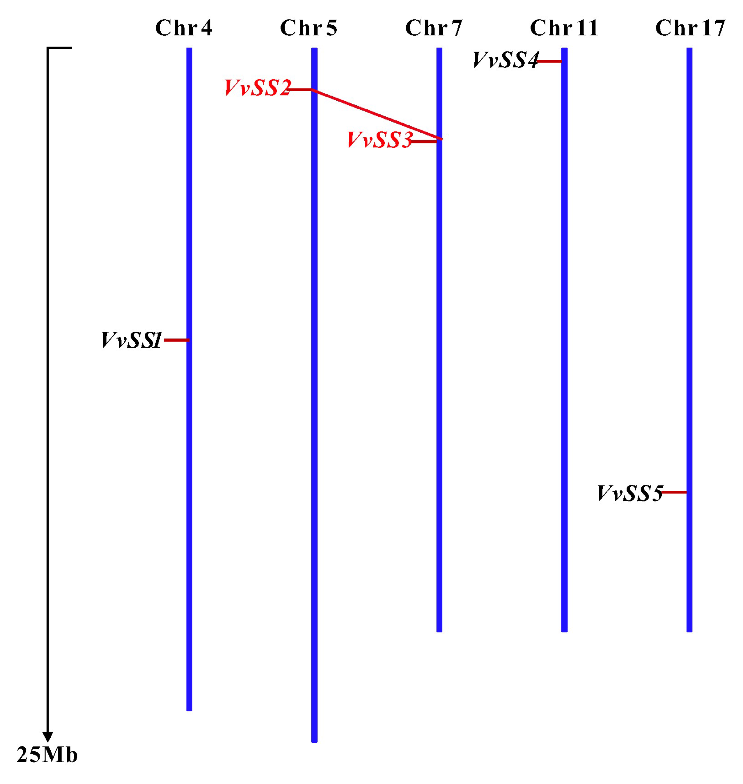 Genes 08 00111 g001