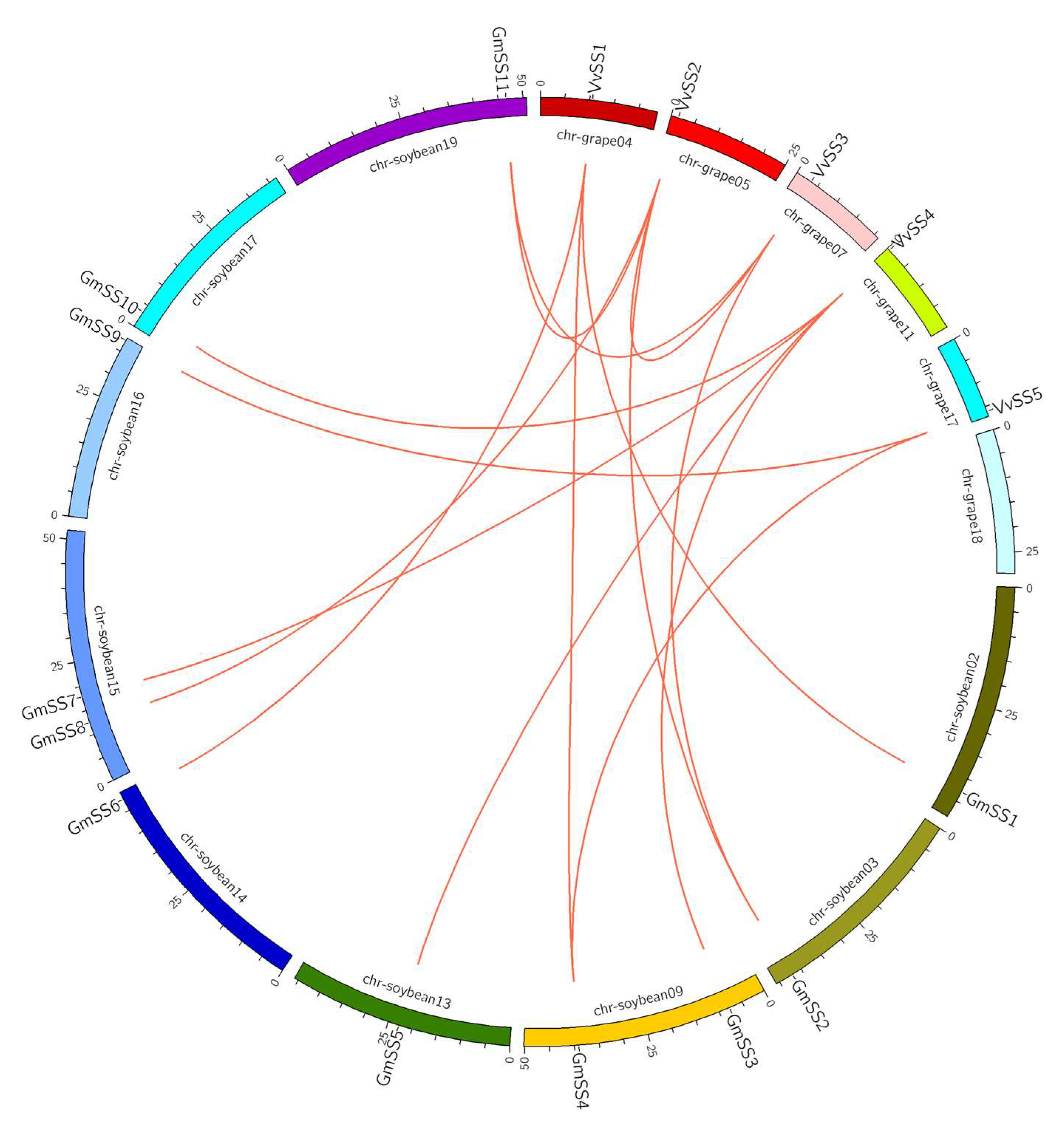 Genes 08 00111 g003