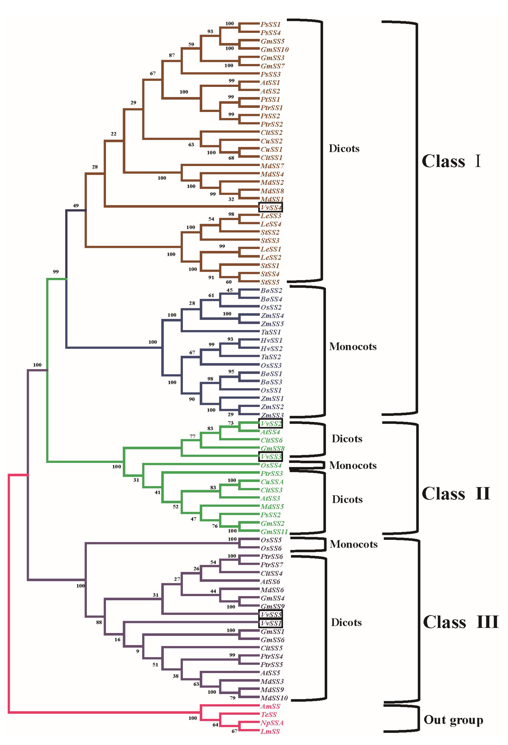Genes 08 00111 g004