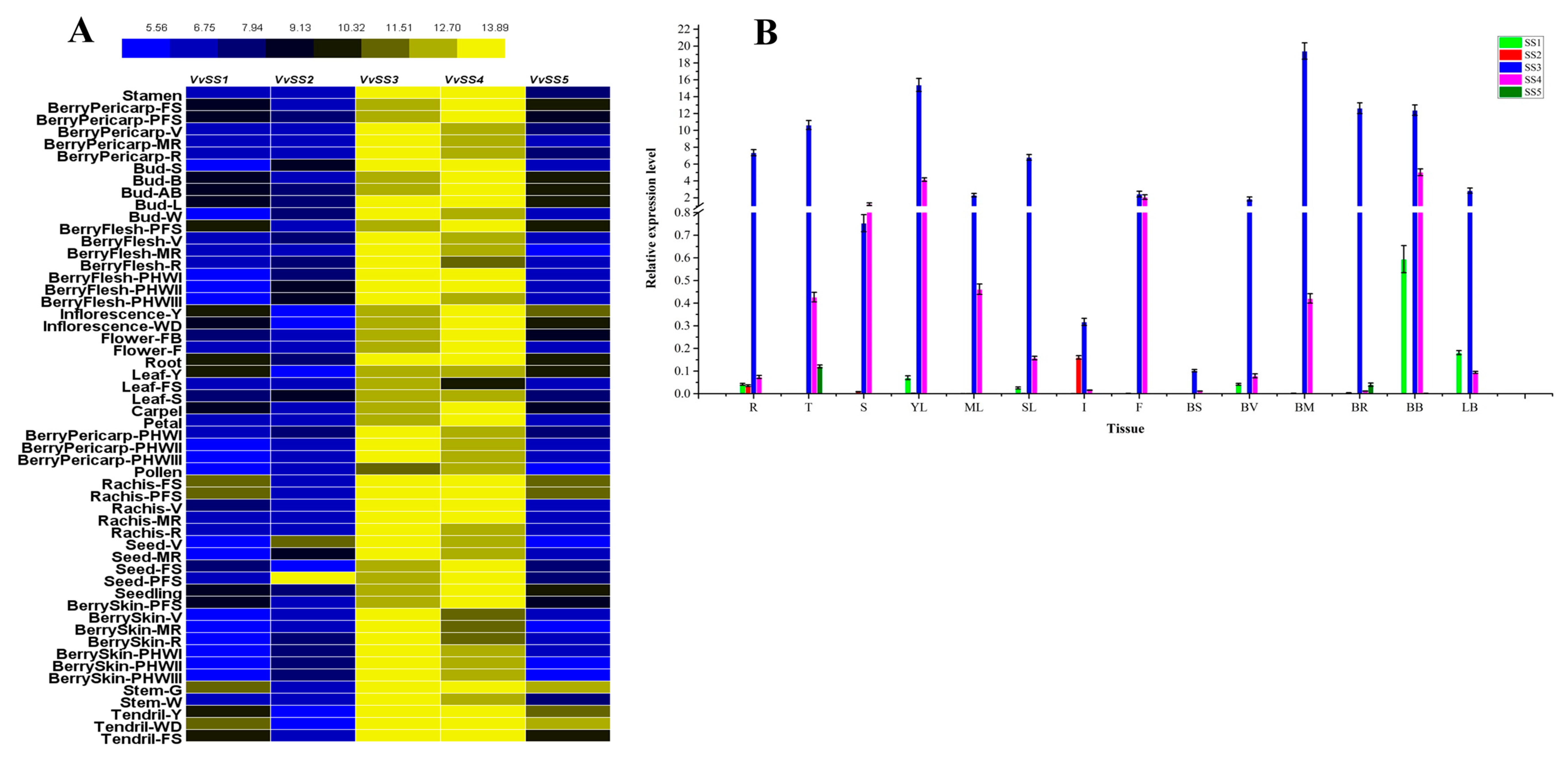 Genes 08 00111 g005