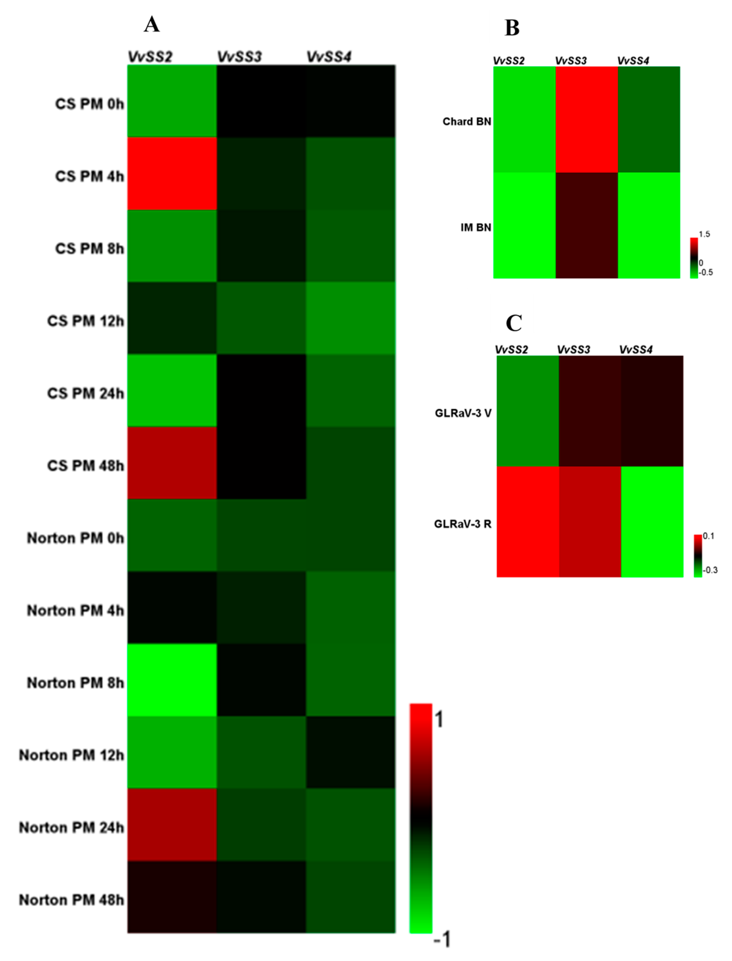 Genes 08 00111 g007