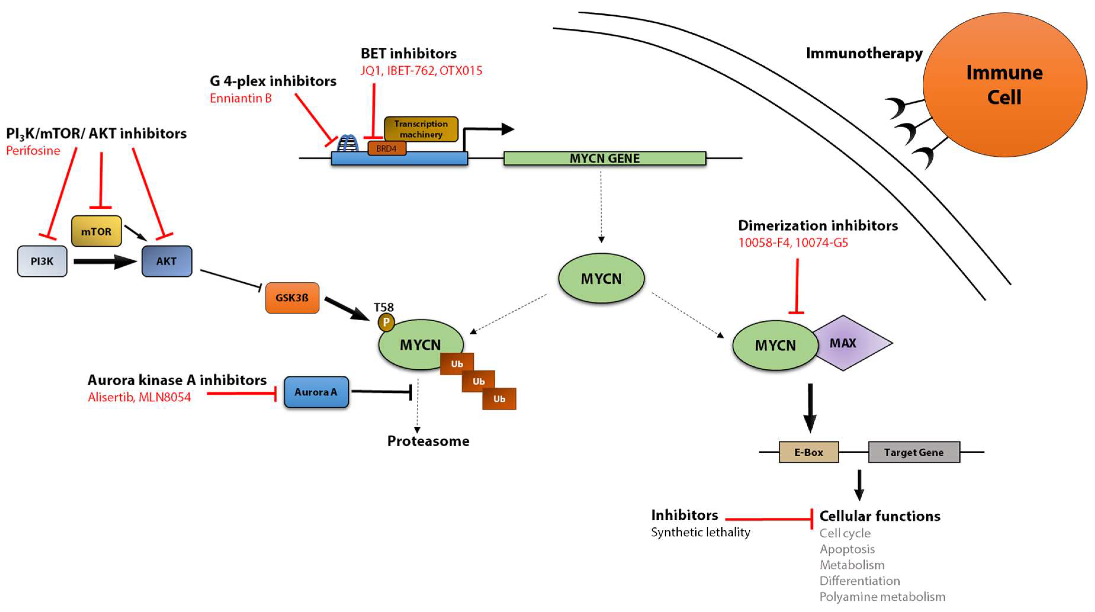 Genes 08 00113 g002