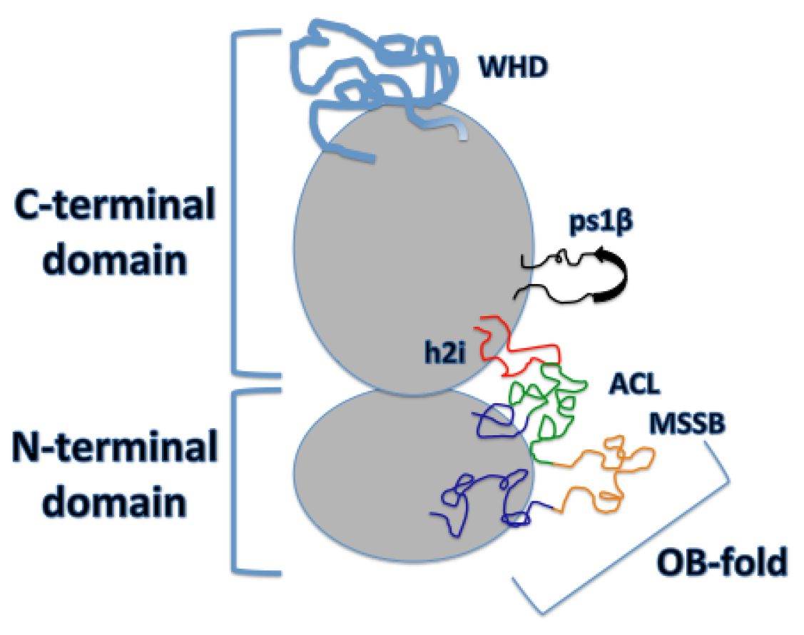 Genes 08 00117 g002