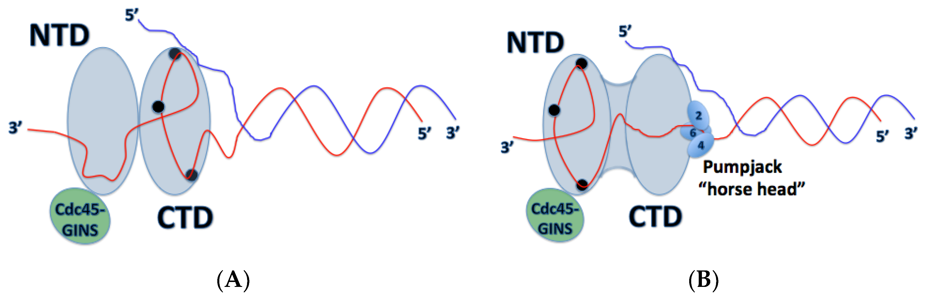 Genes 08 00117 g004