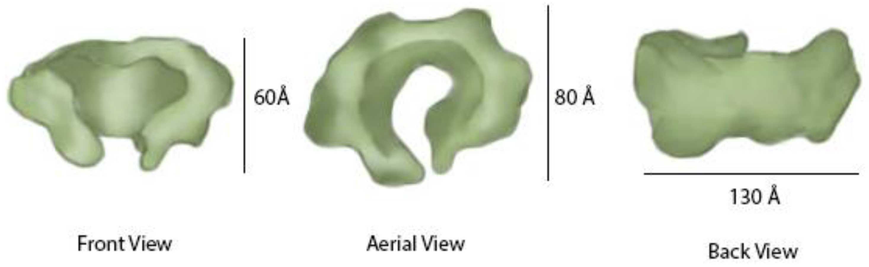 Genes 08 00117 g006