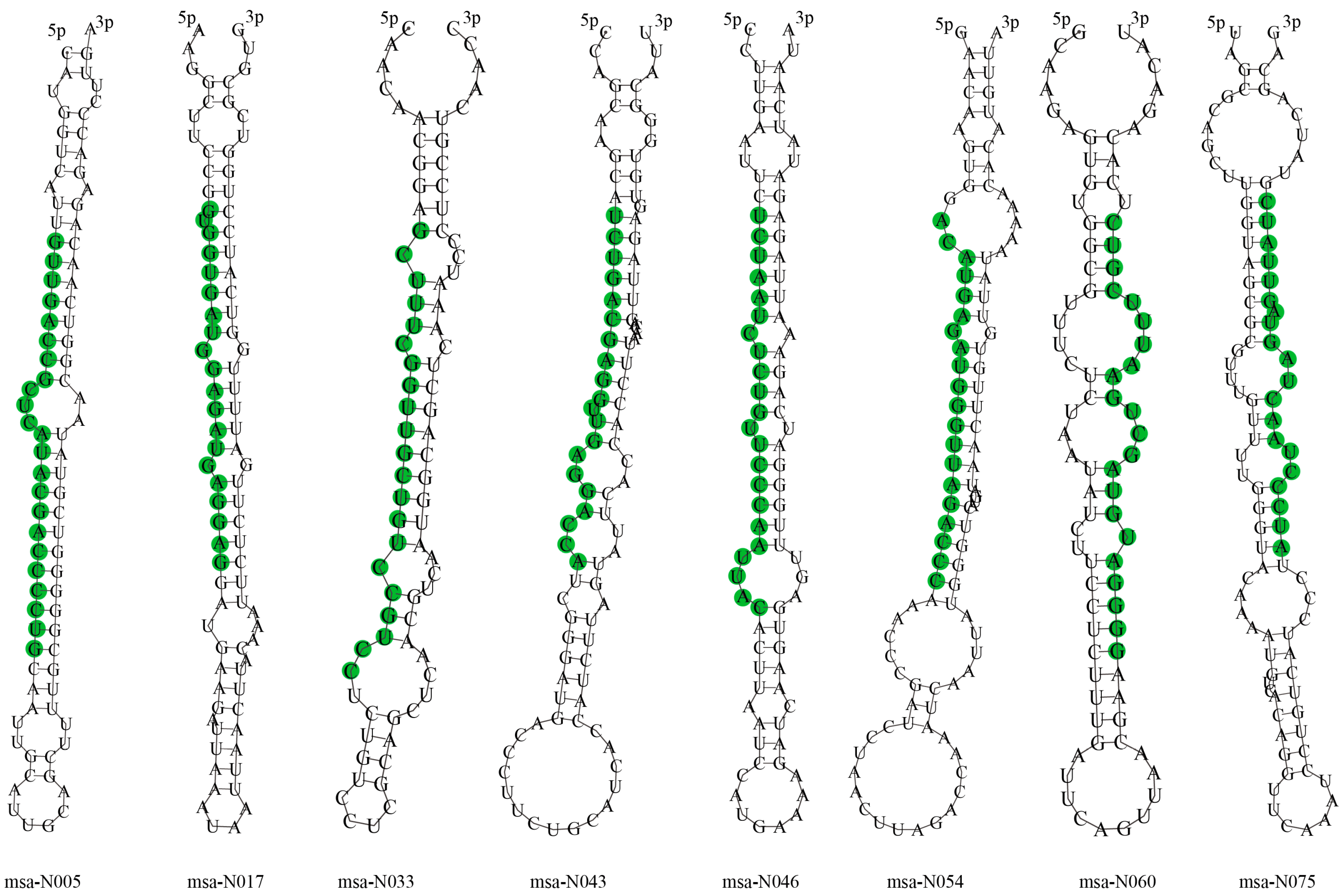 Genes 08 00119 g003