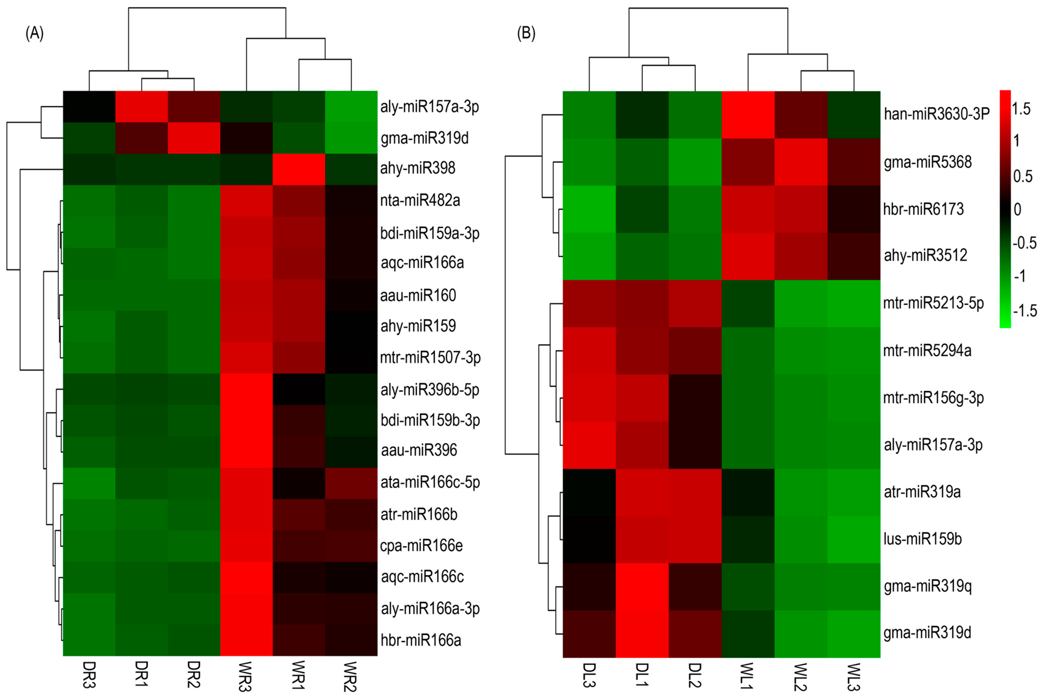 Genes 08 00119 g004
