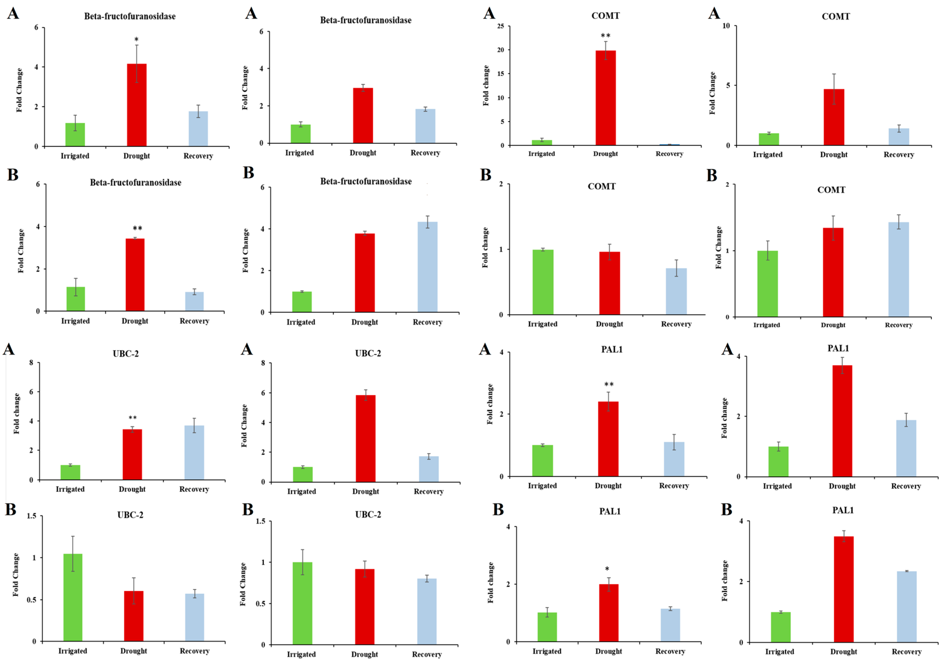 Genes 08 00121 g003