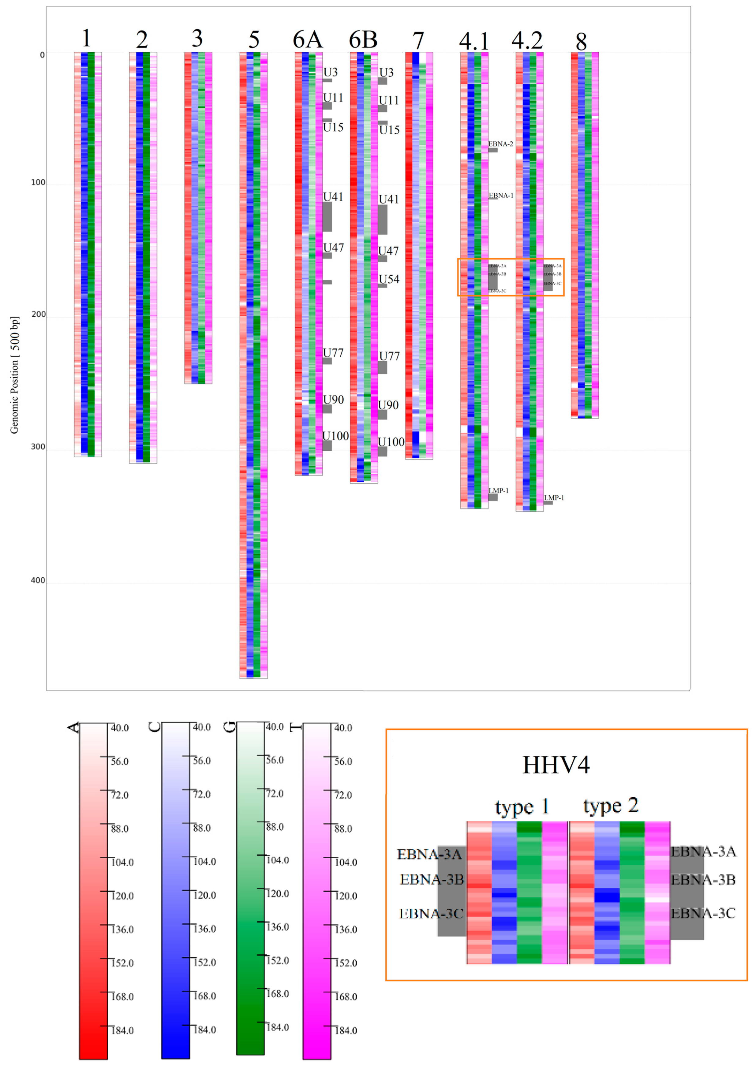 Genes 08 00122 g006