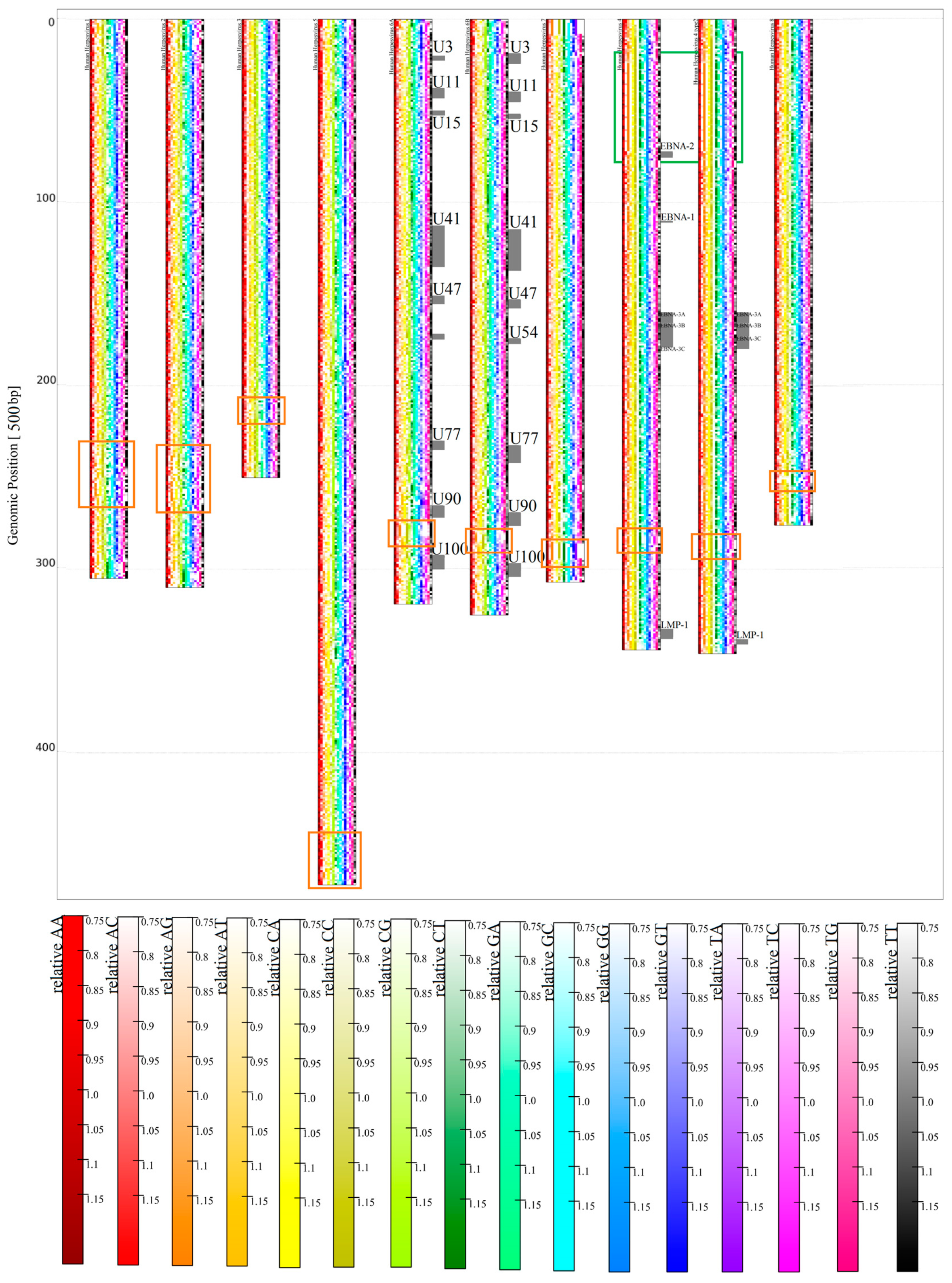Genes 08 00122 g007