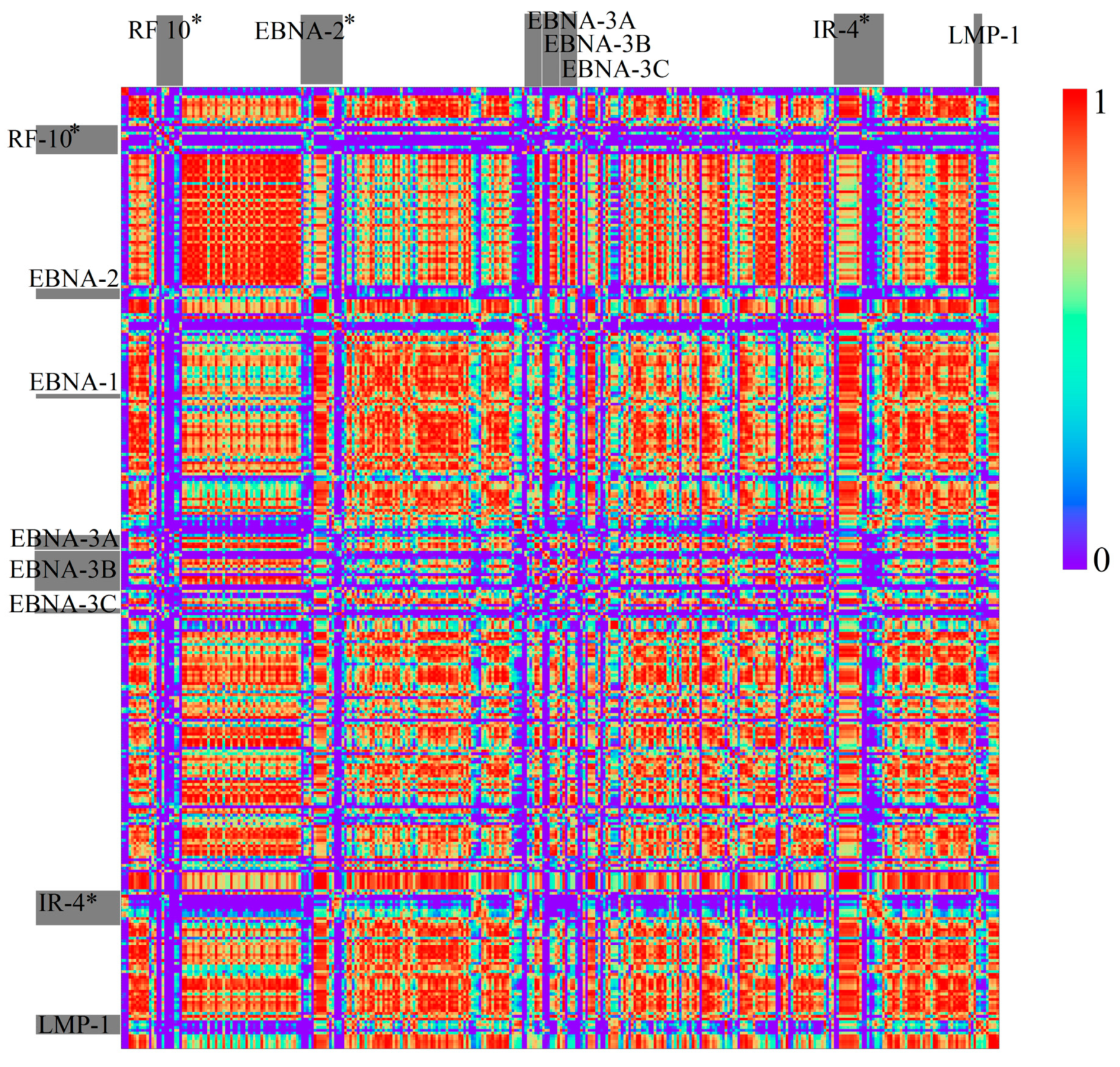 Genes 08 00122 g008