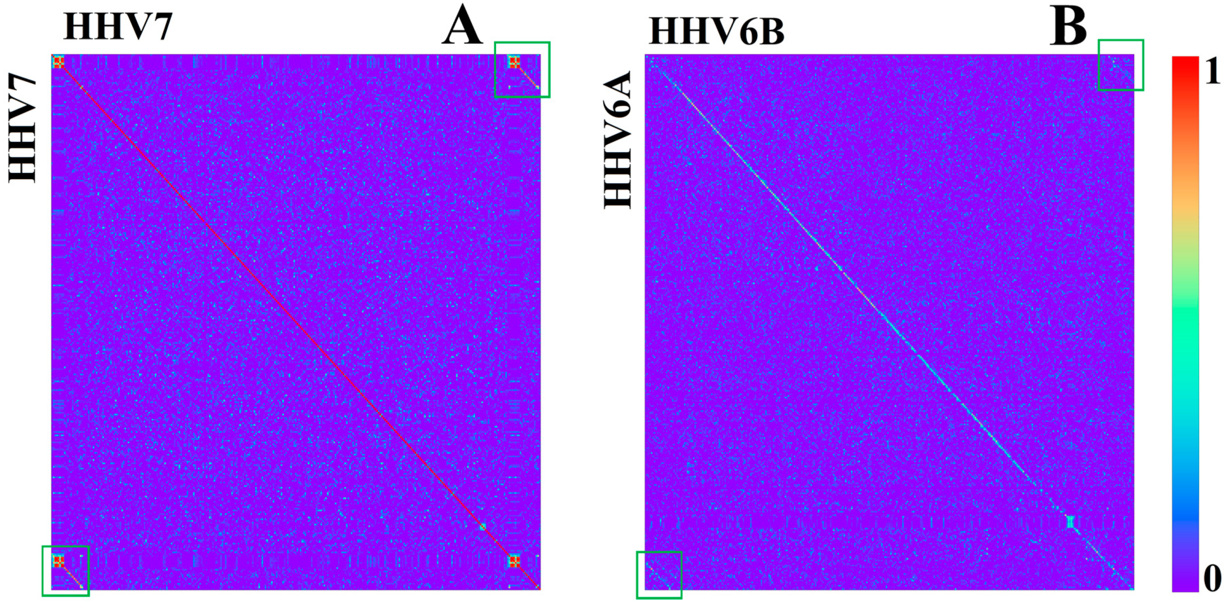Genes 08 00122 g011