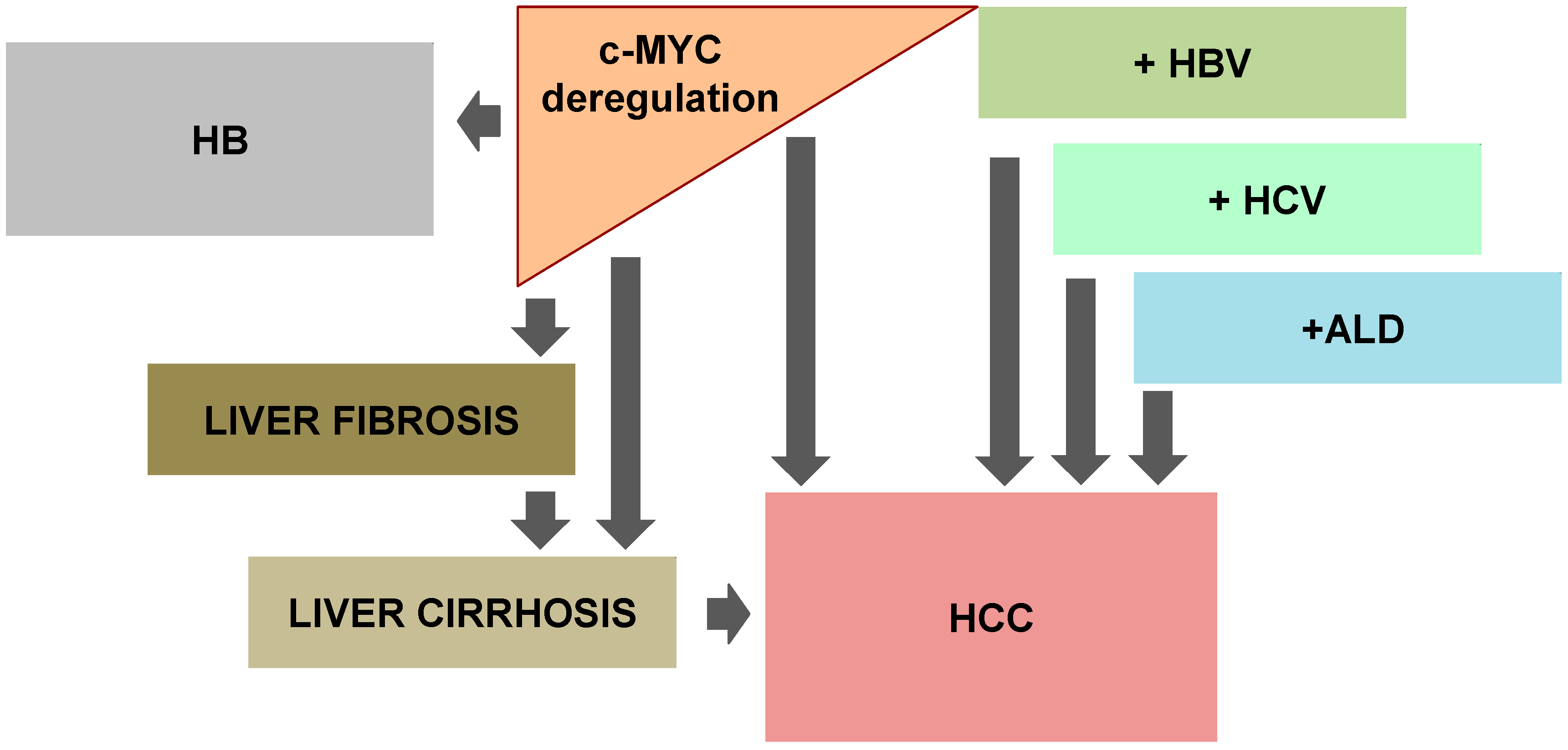 Genes 08 00123 g002
