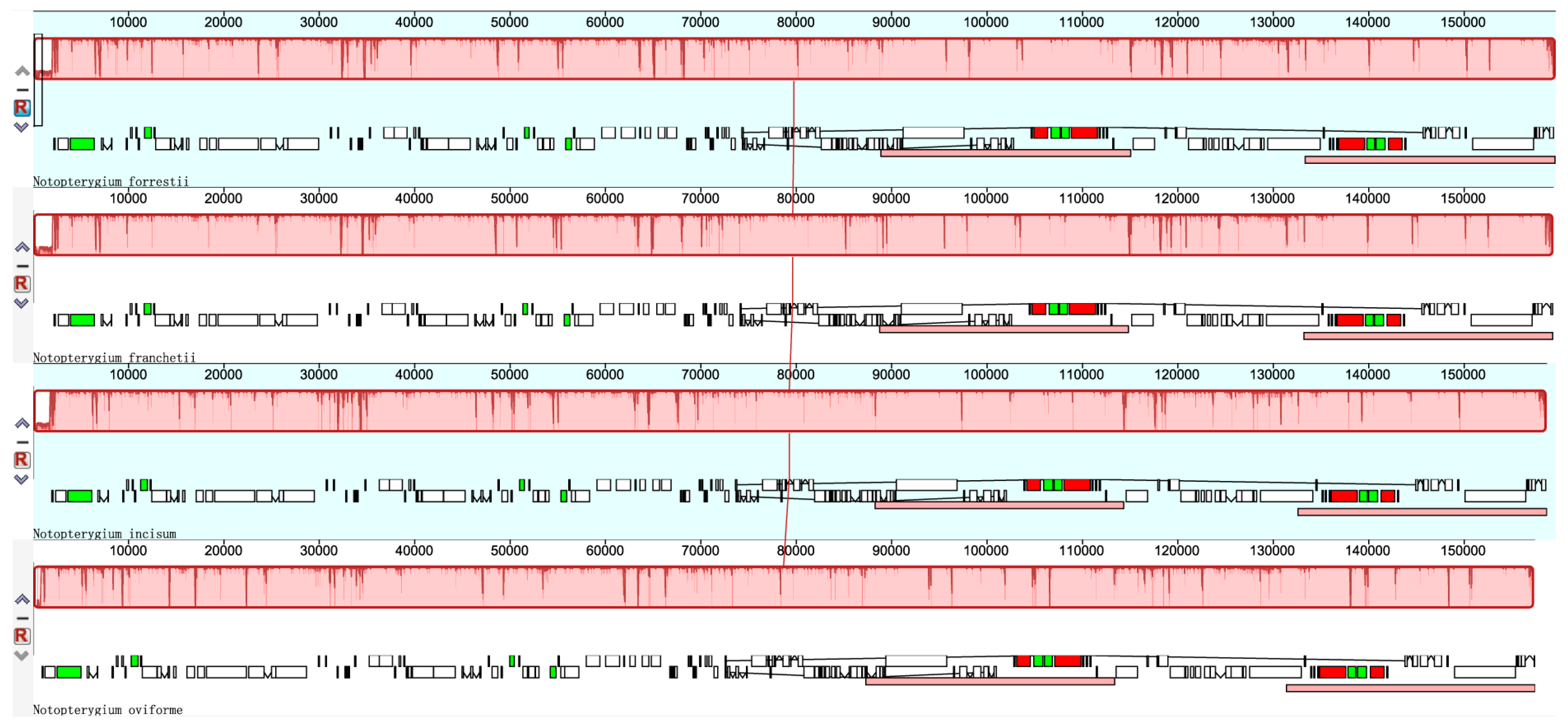Genes 08 00124 g003