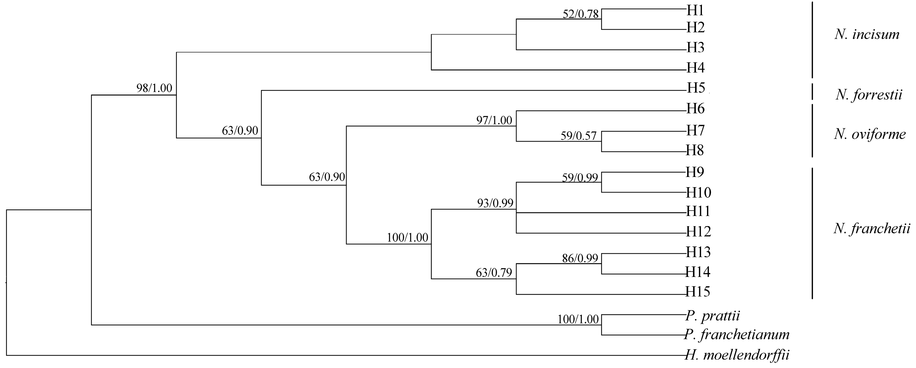 Genes 08 00124 g009