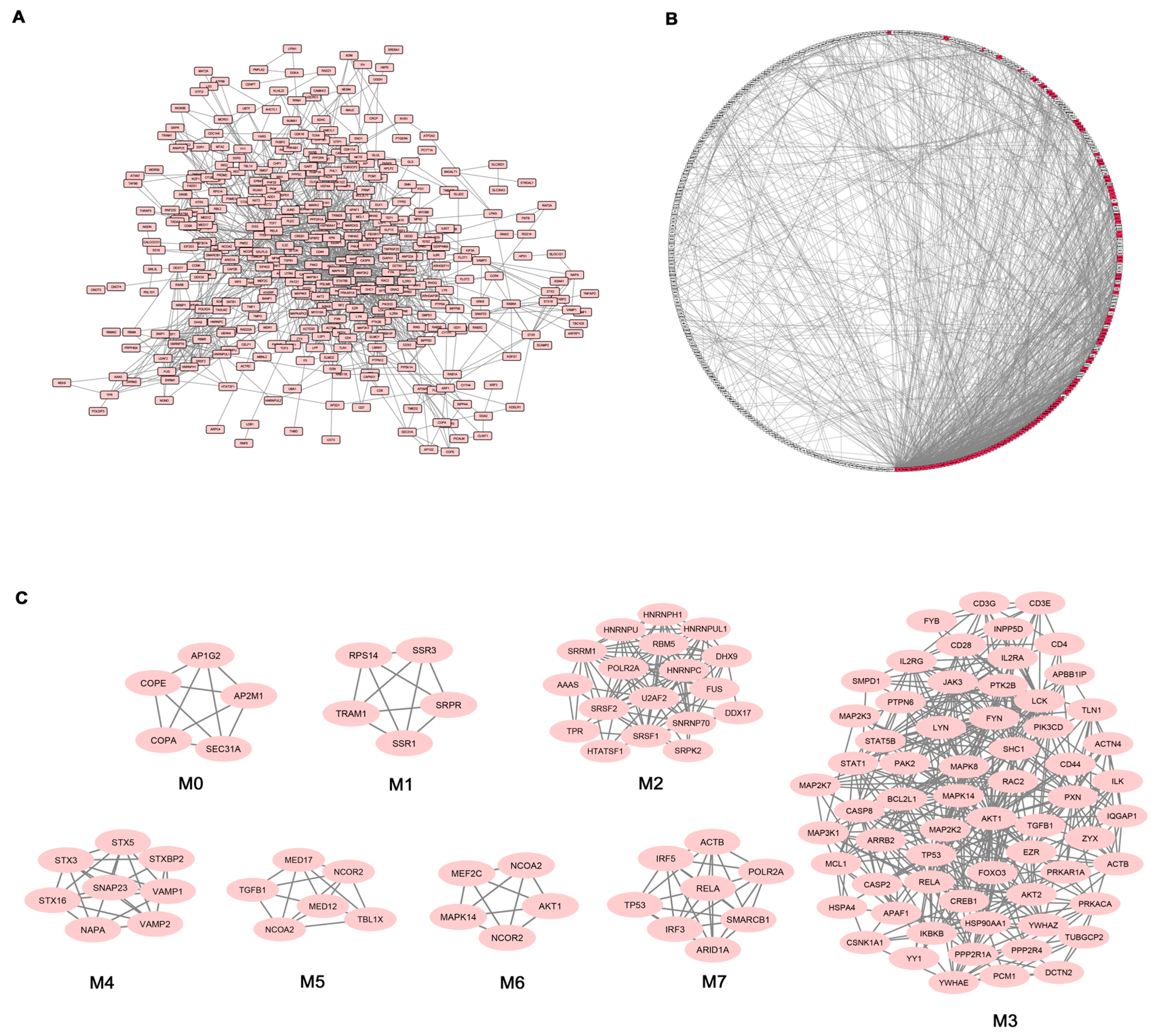 Genes 08 00127 g002