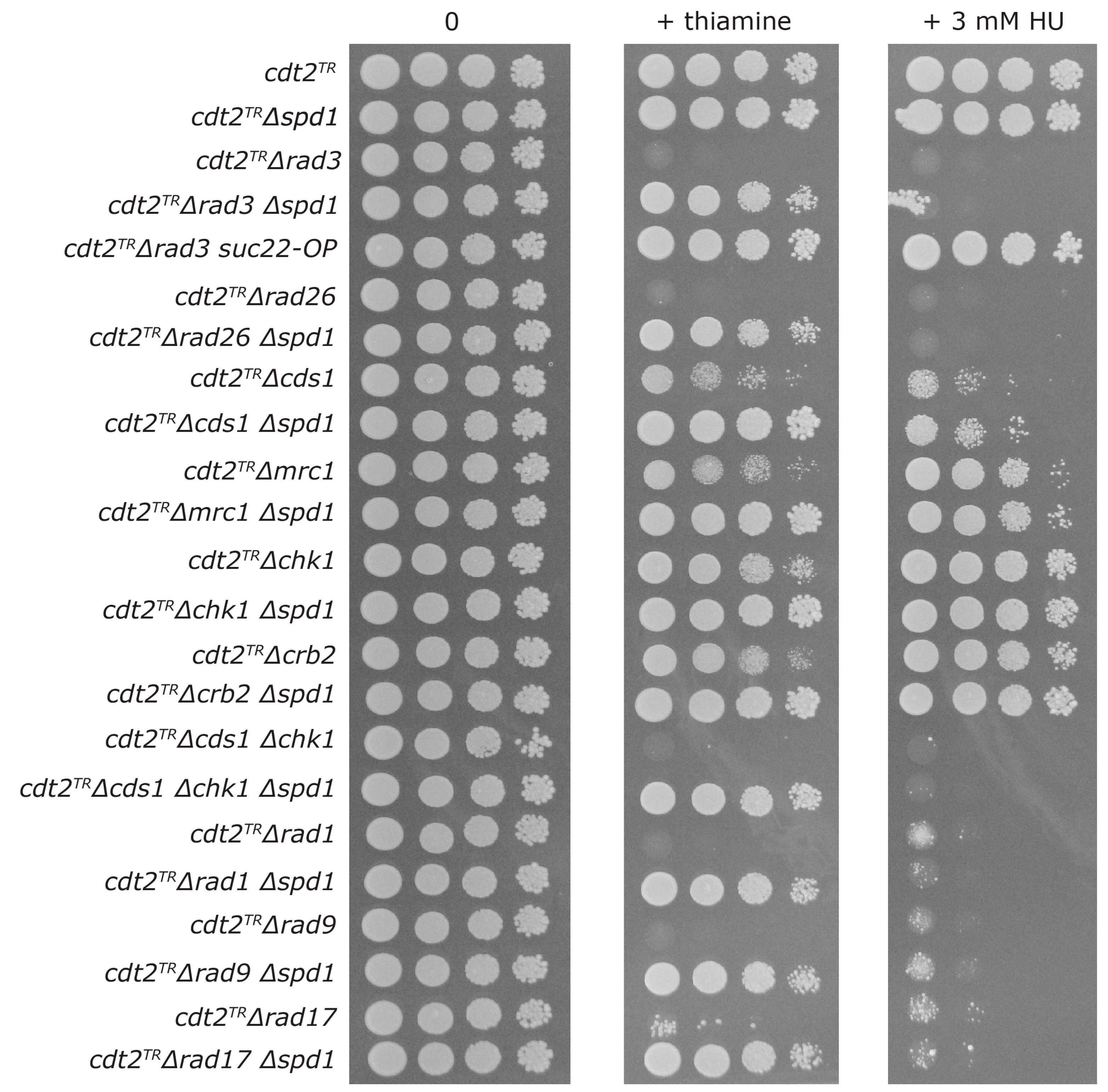 Genes 08 00128 g003