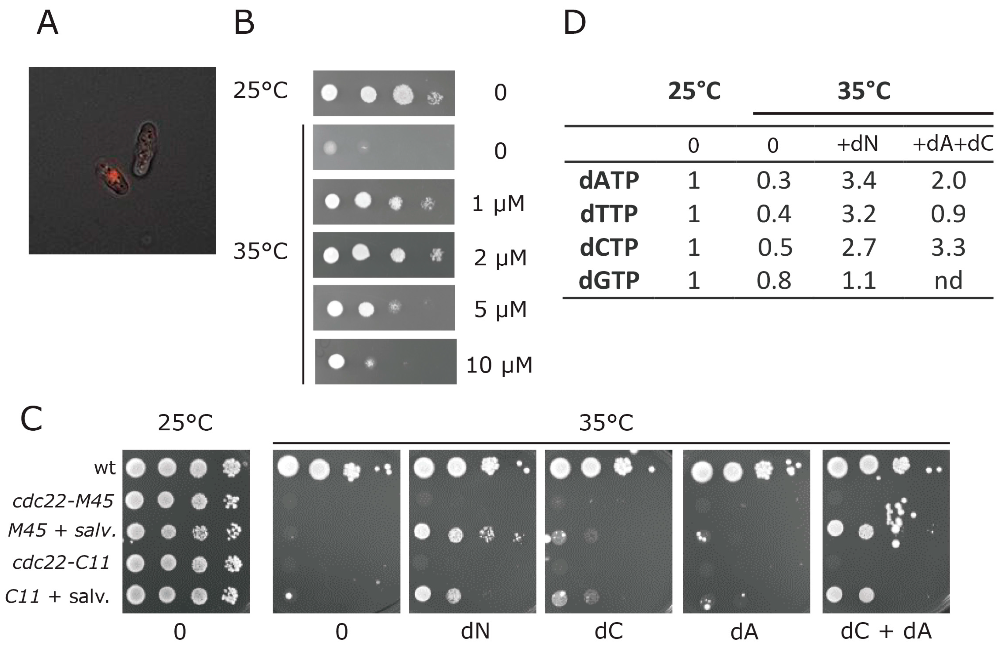 Genes 08 00128 g004