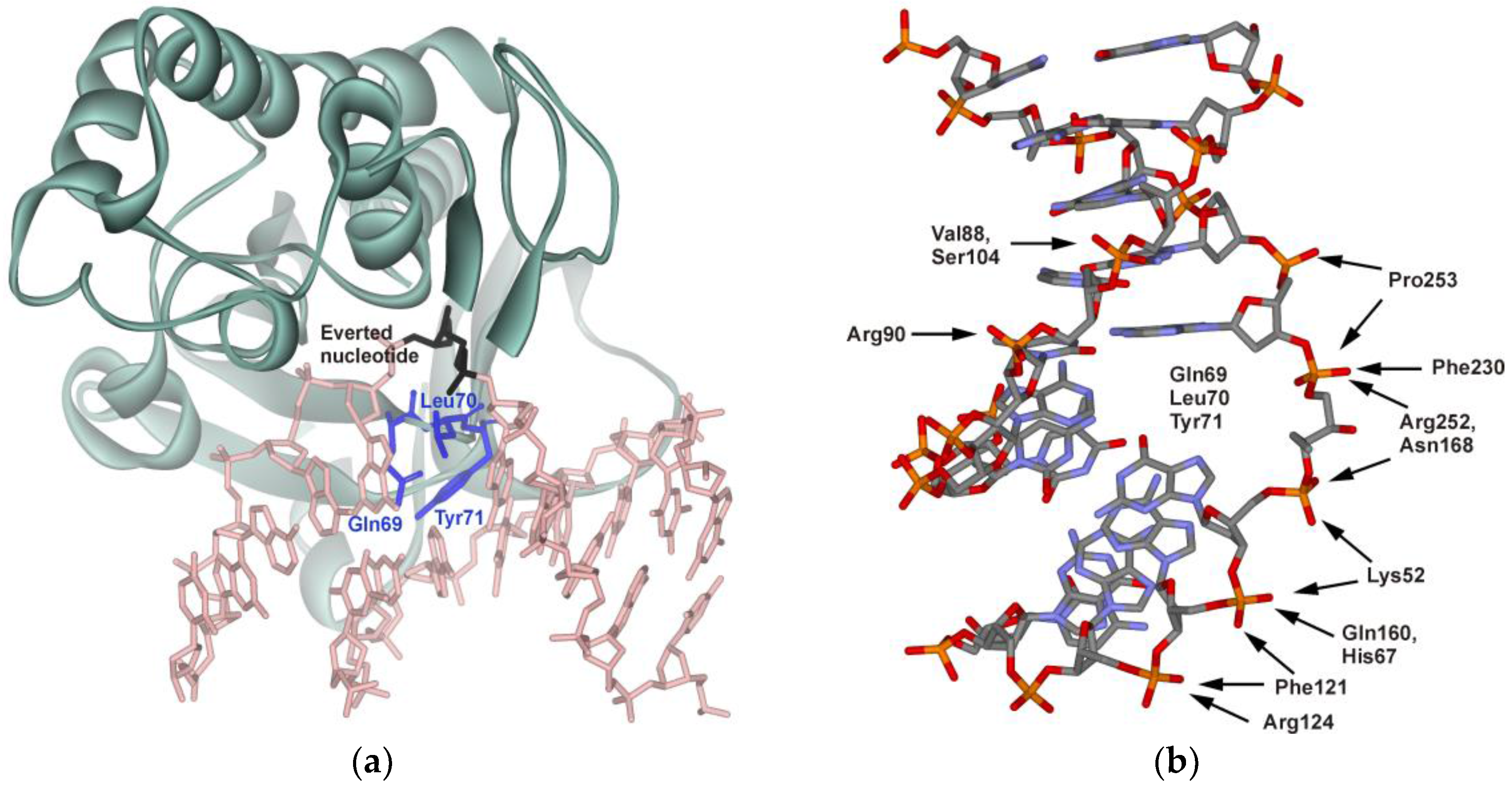 Genes 08 00140 g001 550