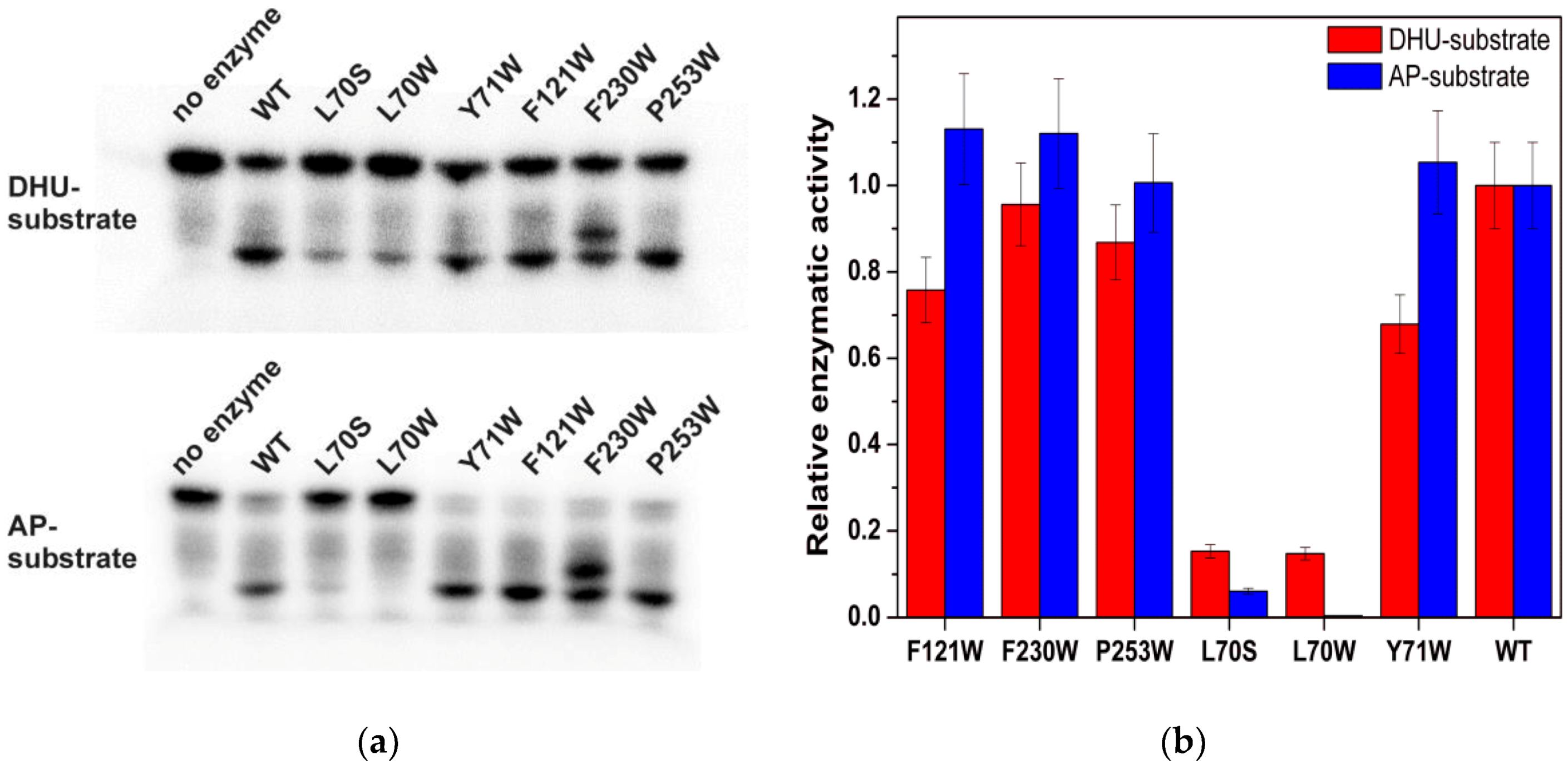 Genes 08 00140 g002 550